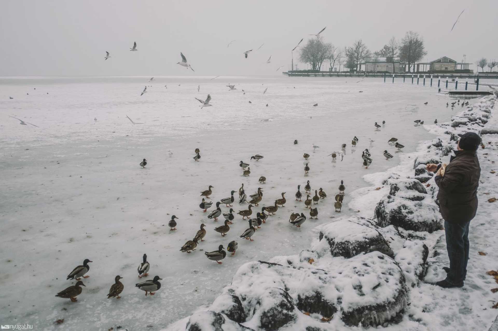 Balaton januárban