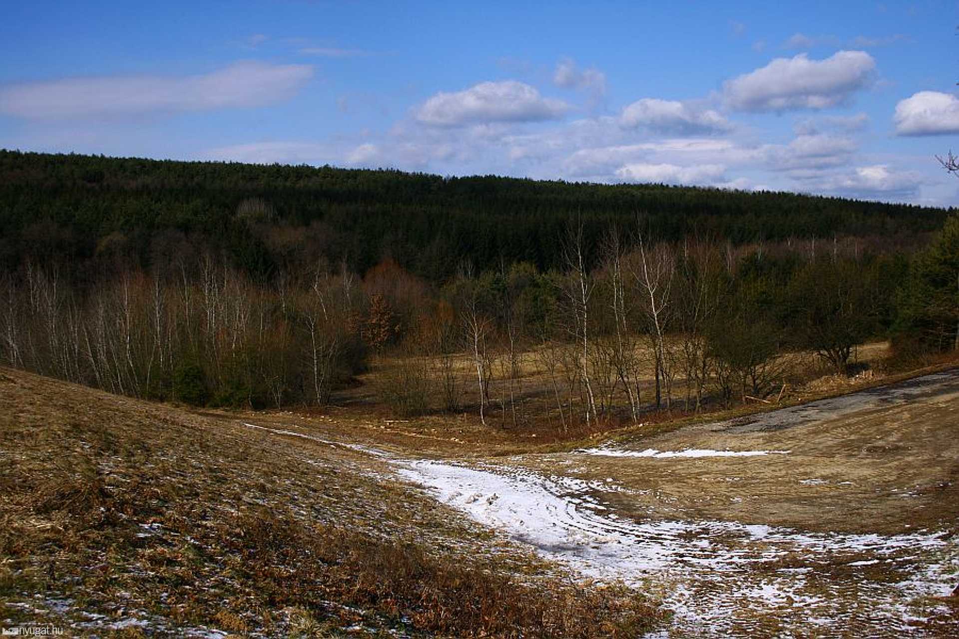 Az Őrség télen