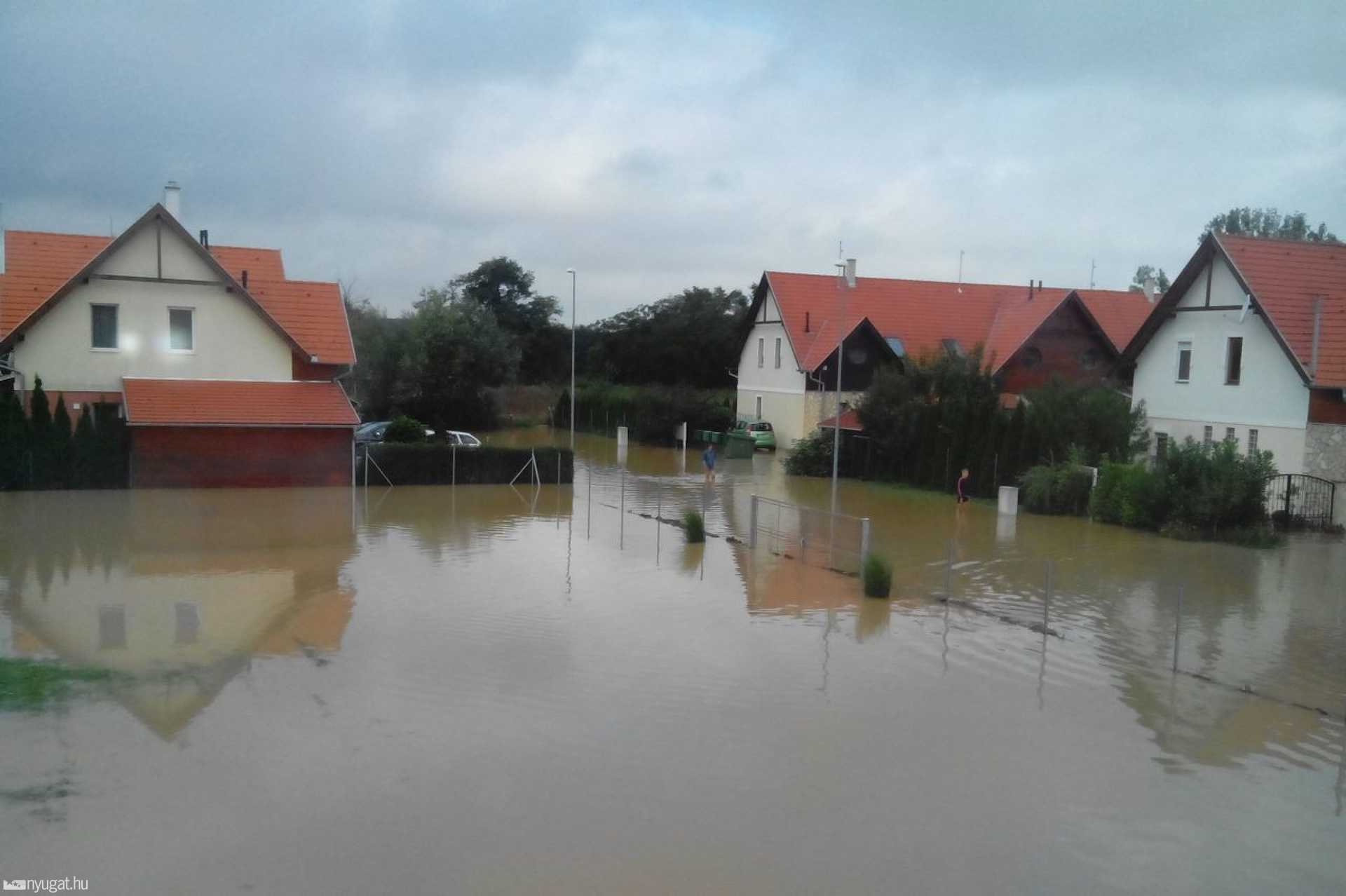 Szombat délelőtt a Petőfi-telepen
