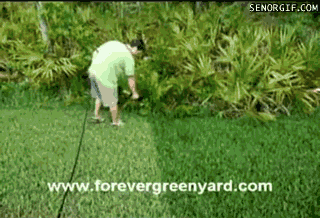 vicces gif