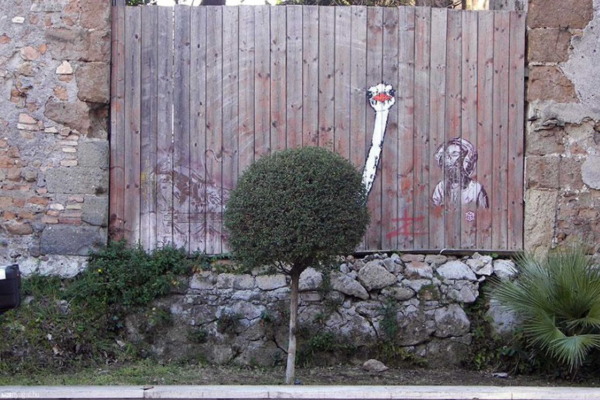 Street Art