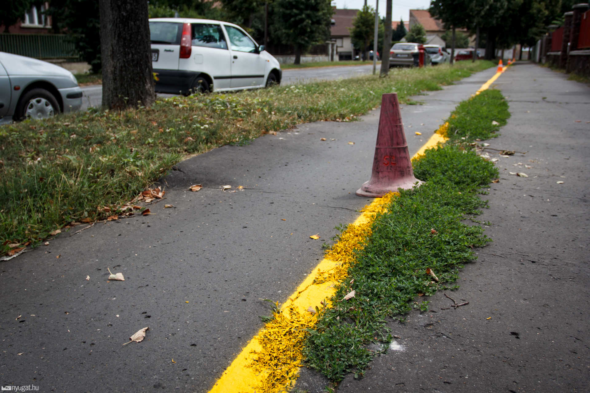 Hibás bicikliút felfestés a Bocskai körúton