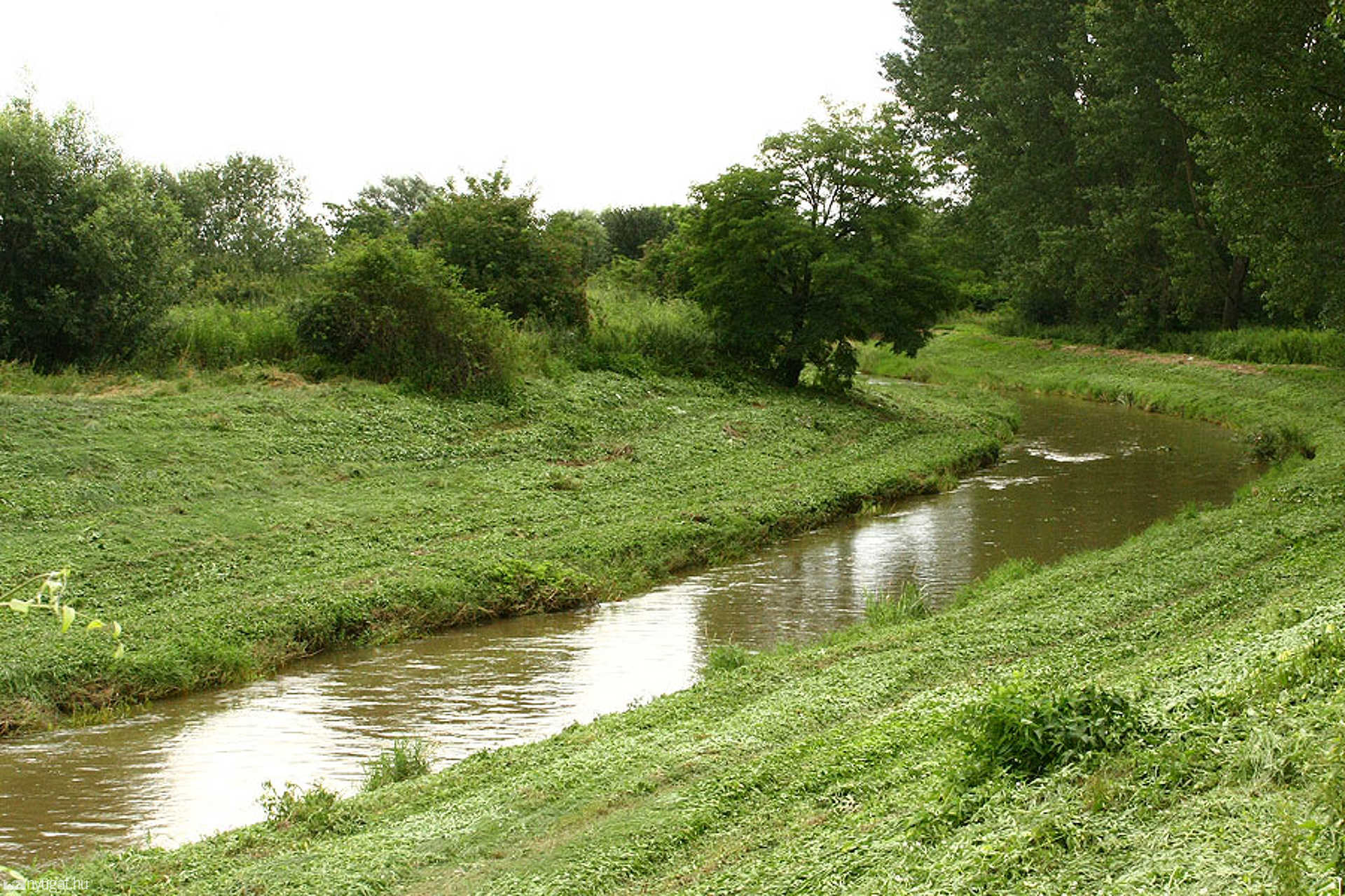 Vissza a természetbe