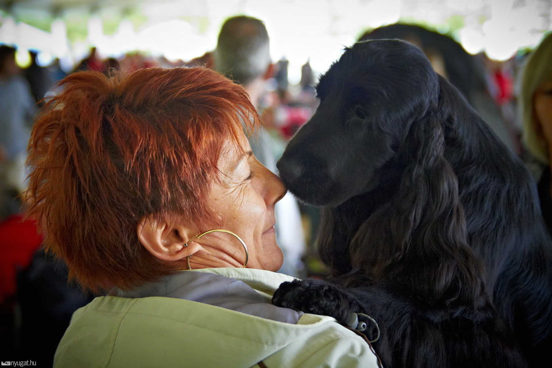 CACIB Kutyakiállítás 2012