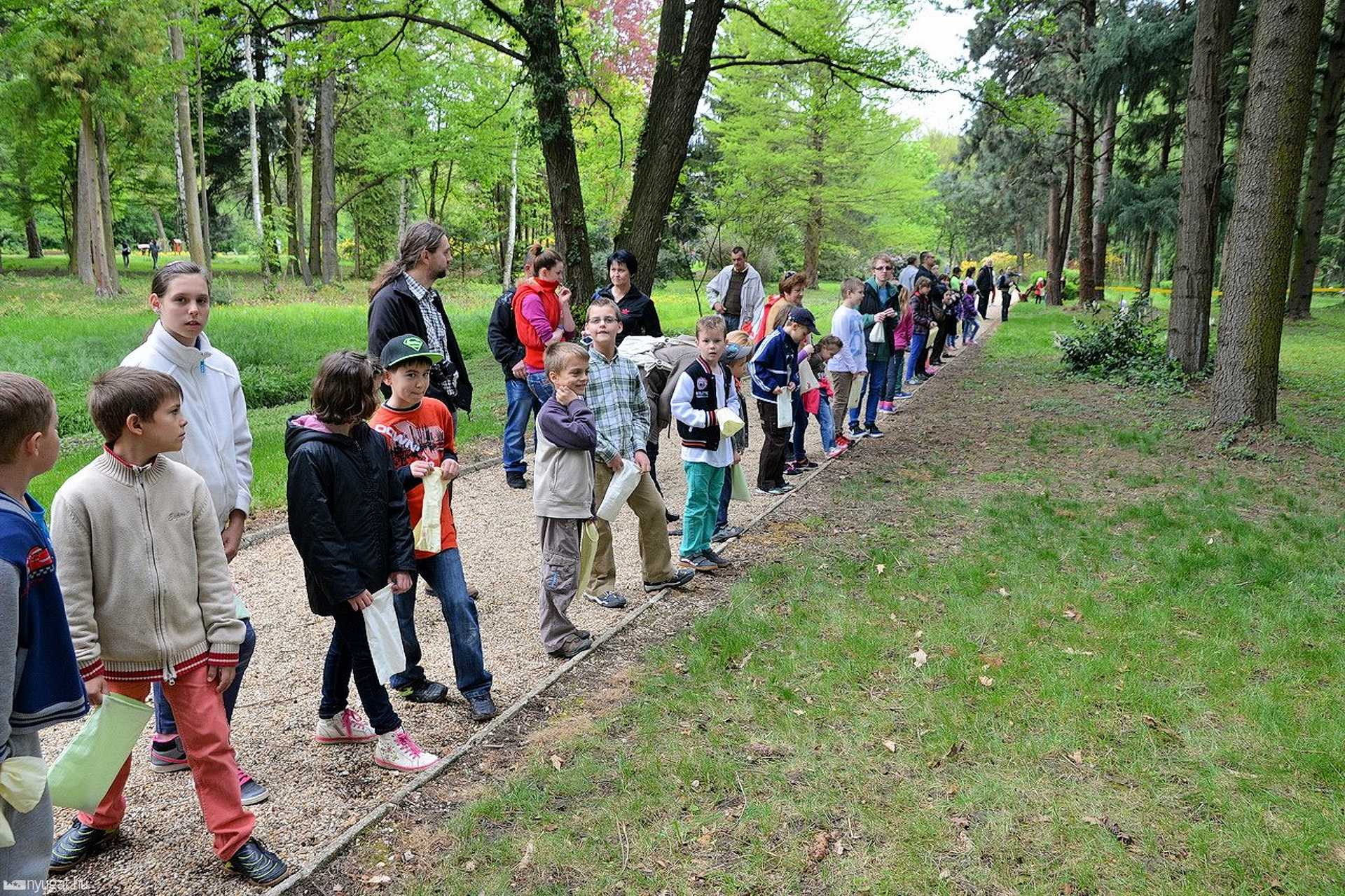 Húsvéti gyerekprogramok a Kámoni Arborétumban