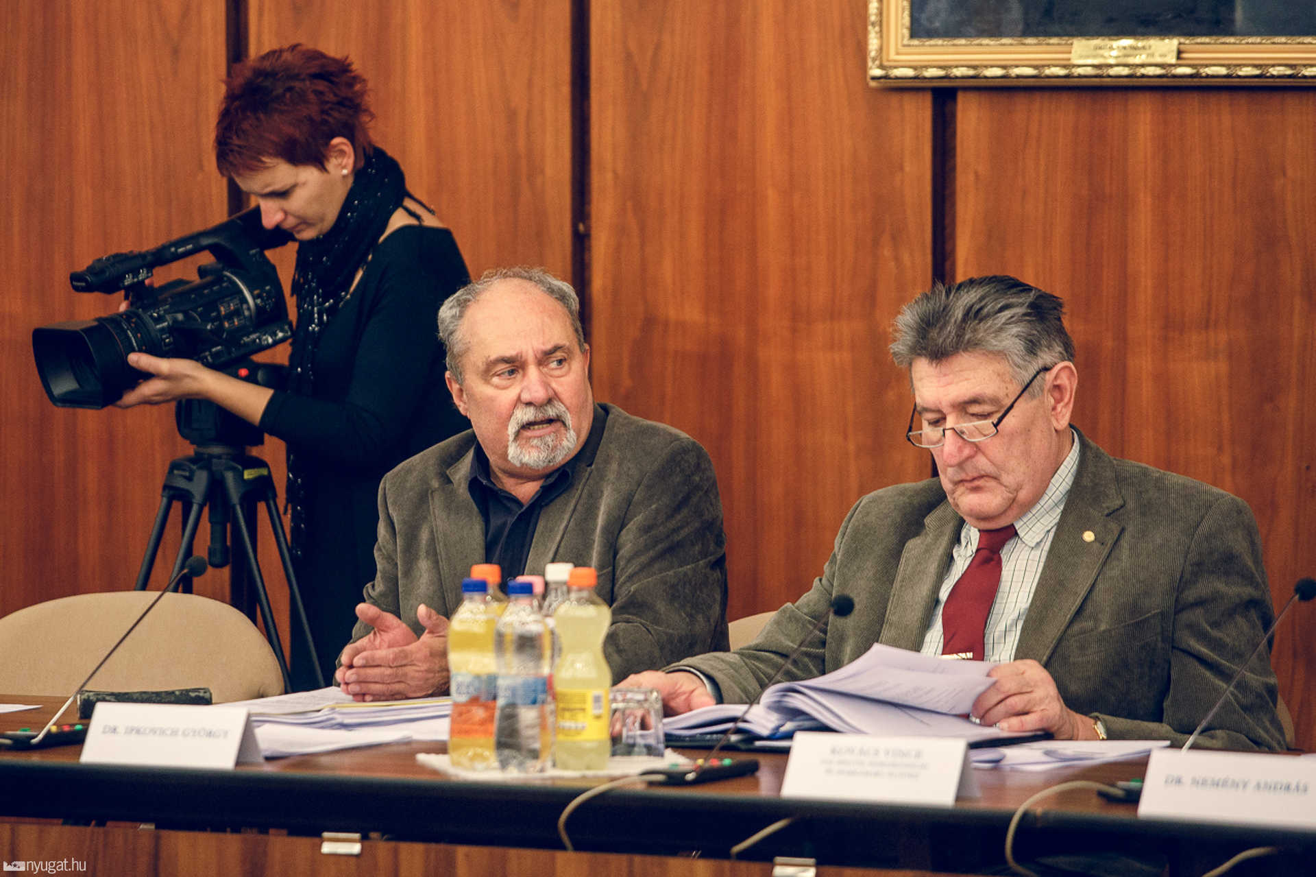 Gazdasági és Városstratégiai Bizottság januári ülése