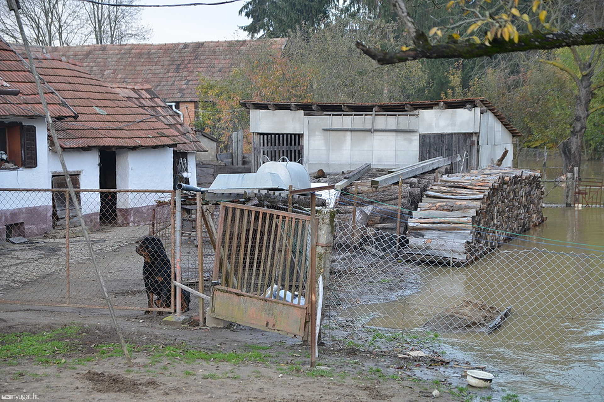 Áradó patakok és folyók Vas megyében - 2012.november 6.