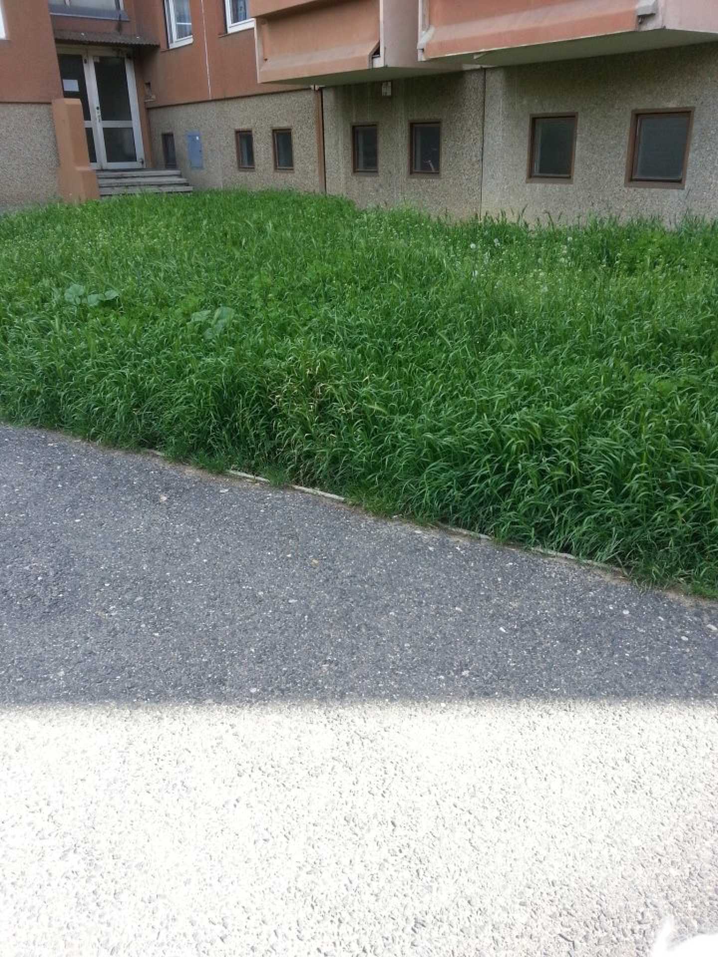 Gaztenger Oladon