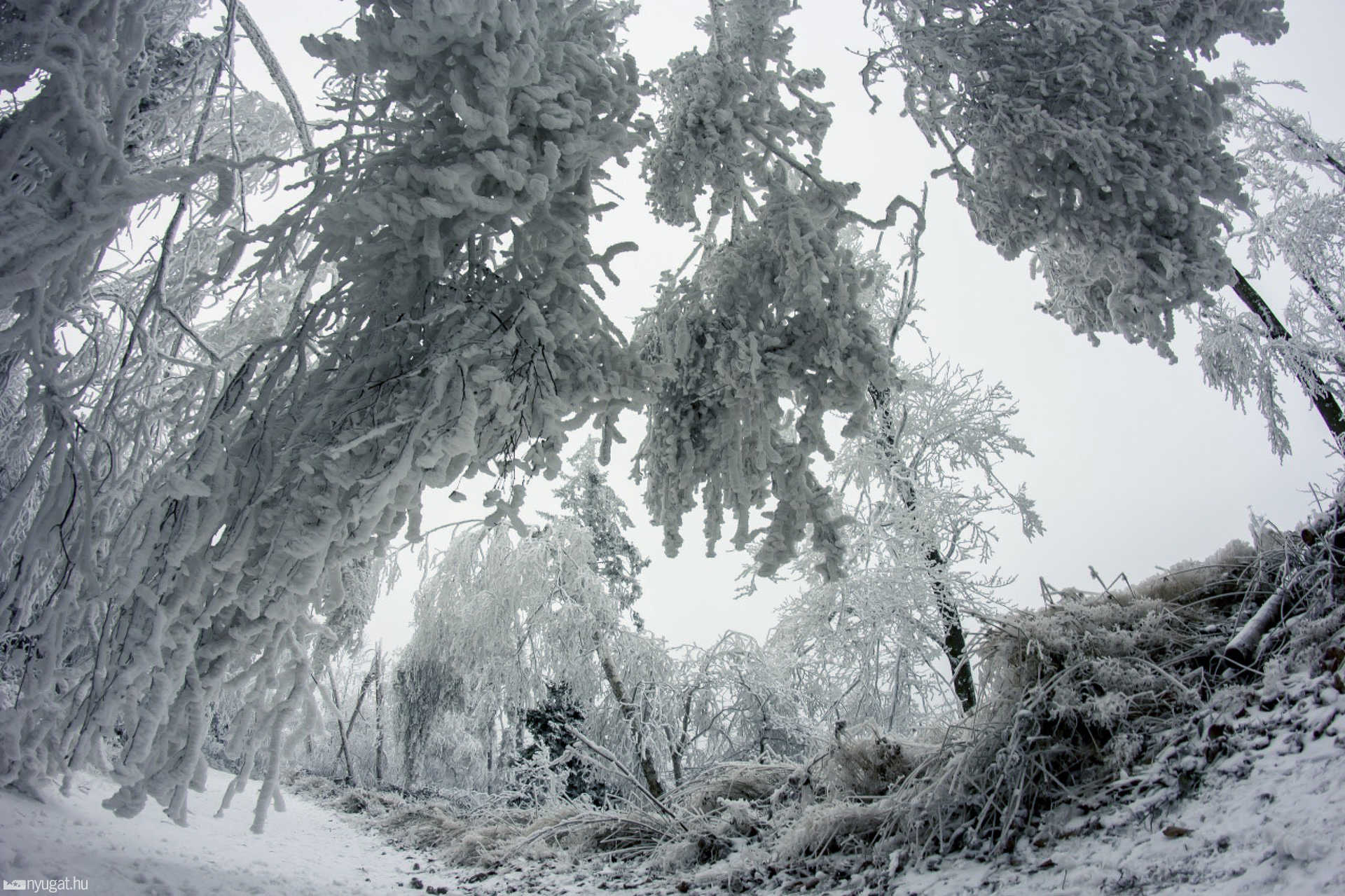 Írottkő télen