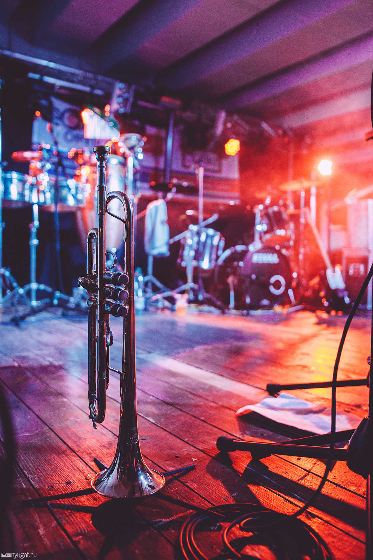Ocho Macho koncert a Savaria Moziban