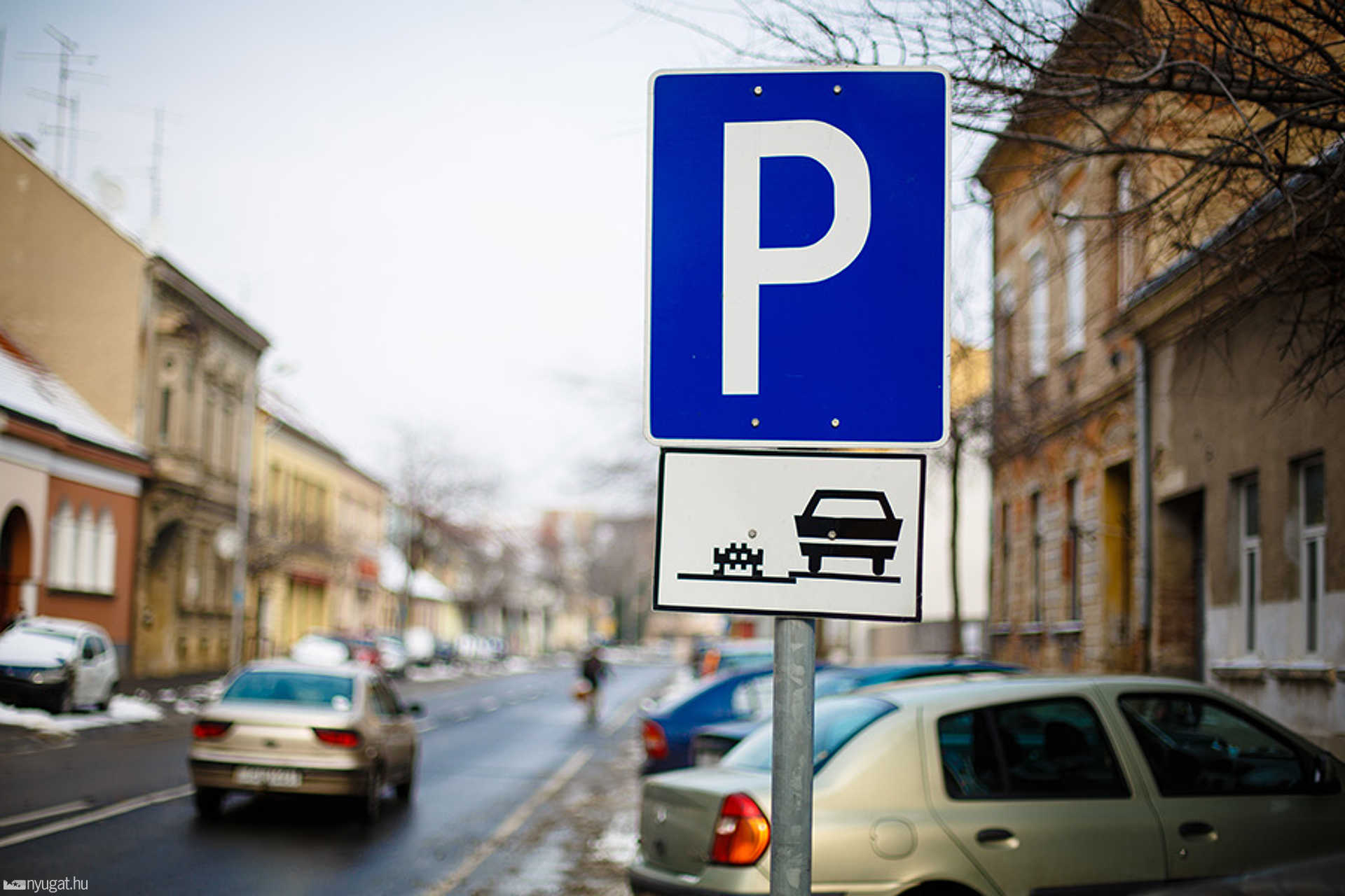 365 projekt: Bonyhádi Zoltán