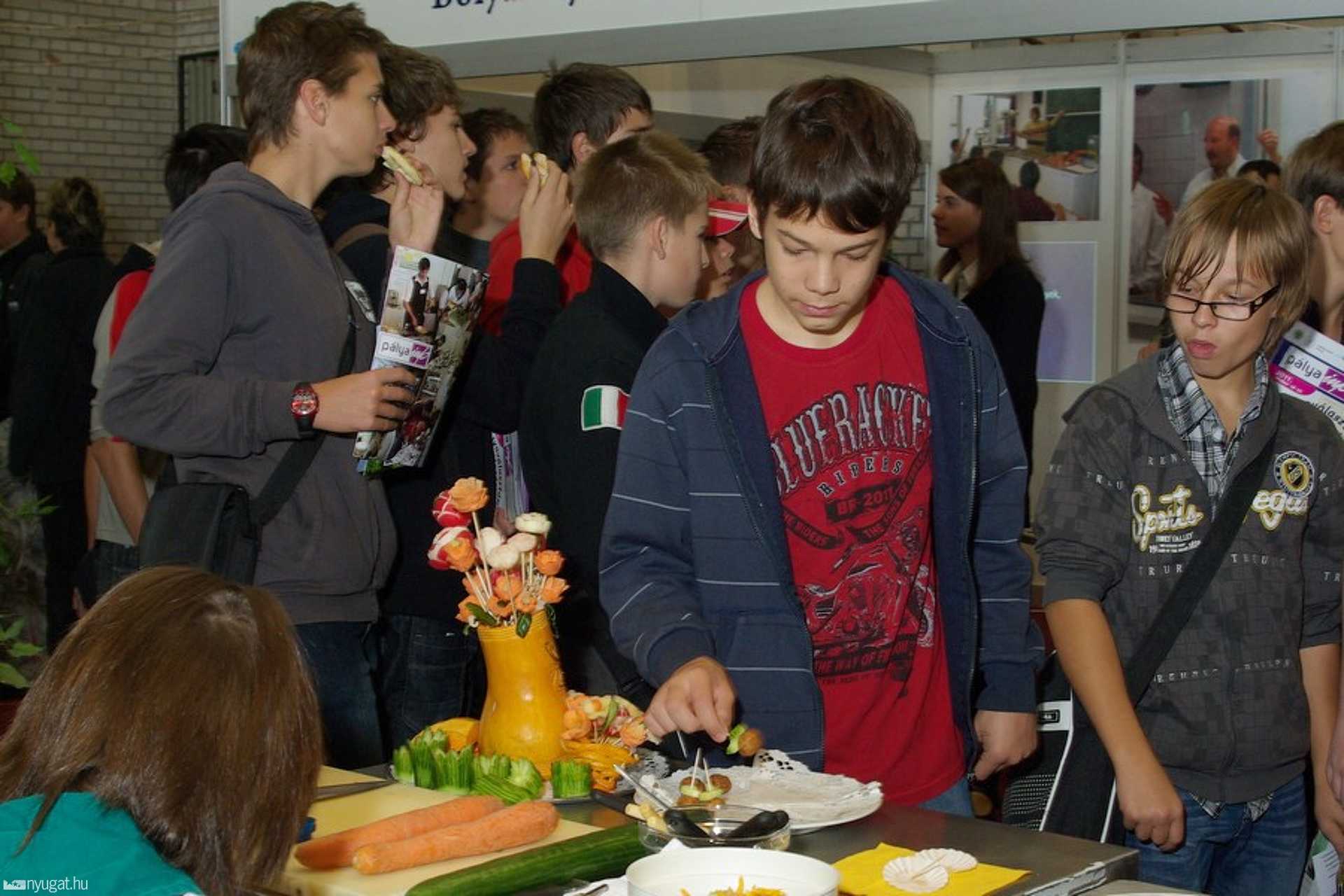 pálya info 2011