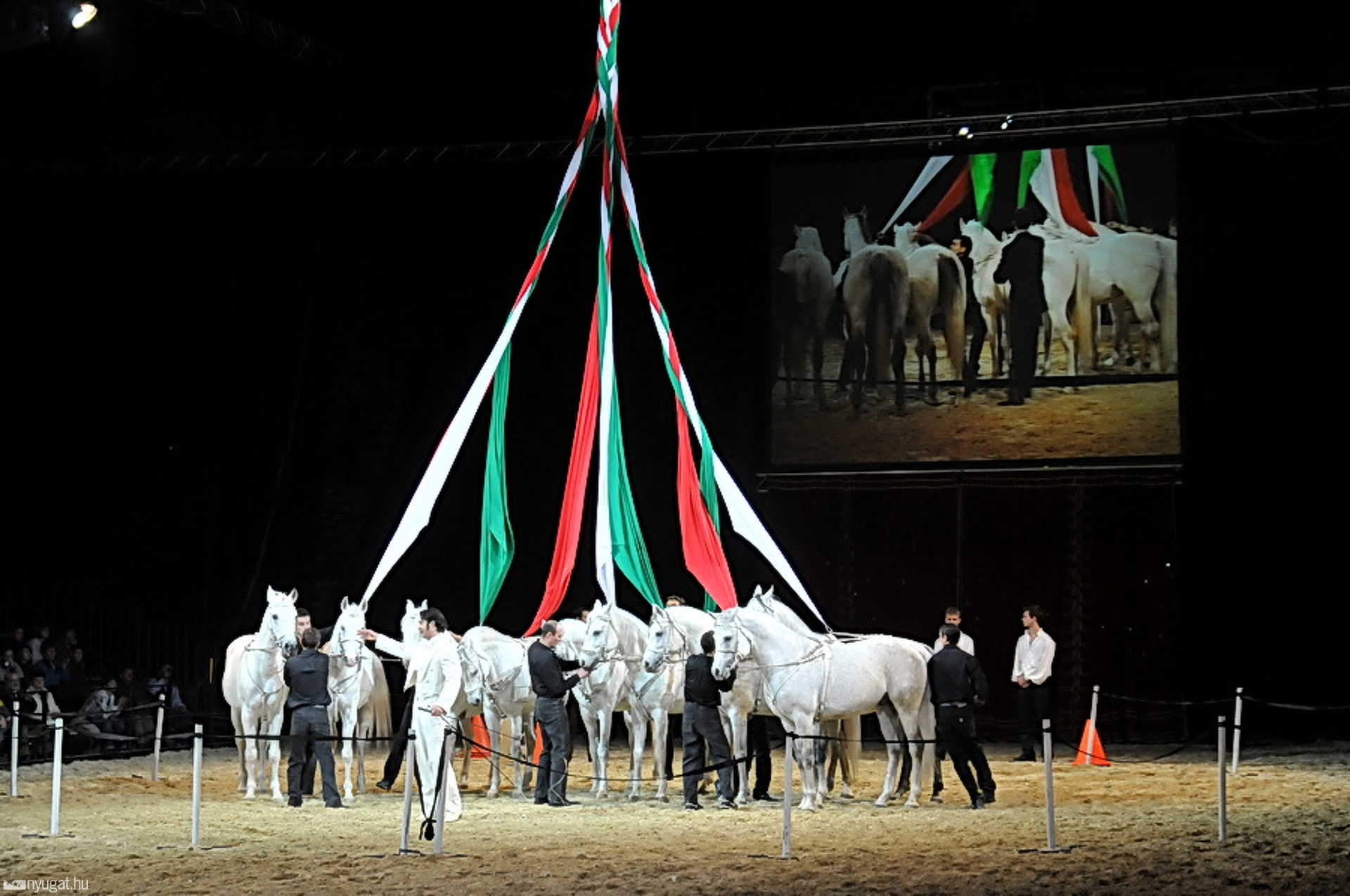 Horse Evolution Show Szombathelyen, az Arena Savariában