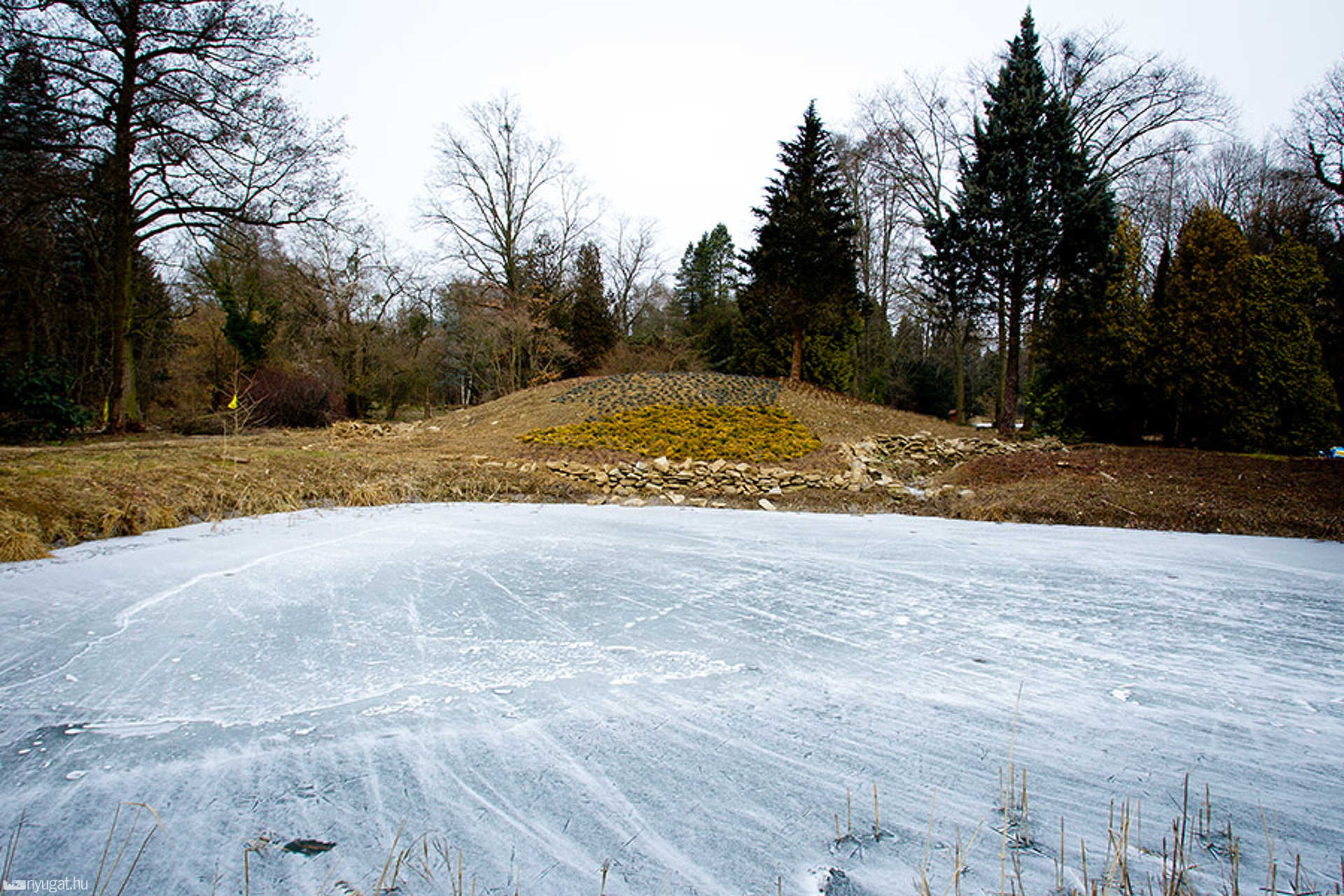 Kámoni arborétum