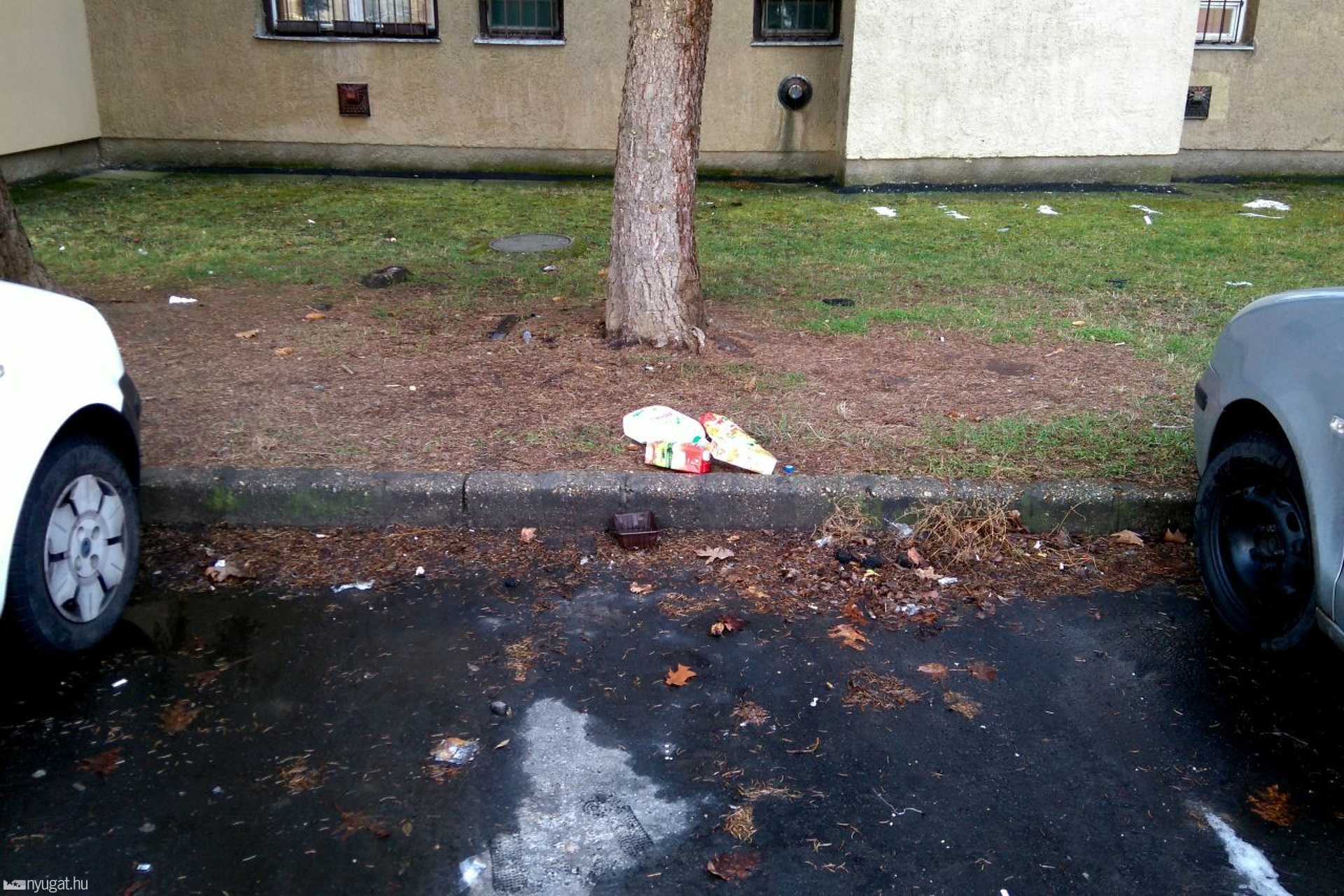 Szemetes parkoló