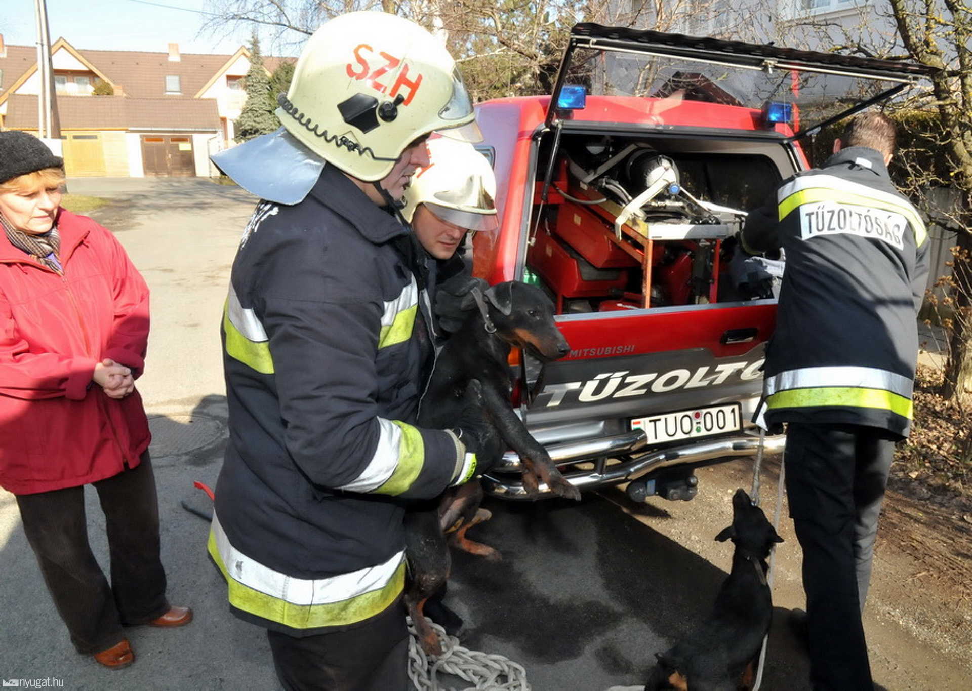 Csatornából mentettek kutyákat a szombathelyi tűzoltók