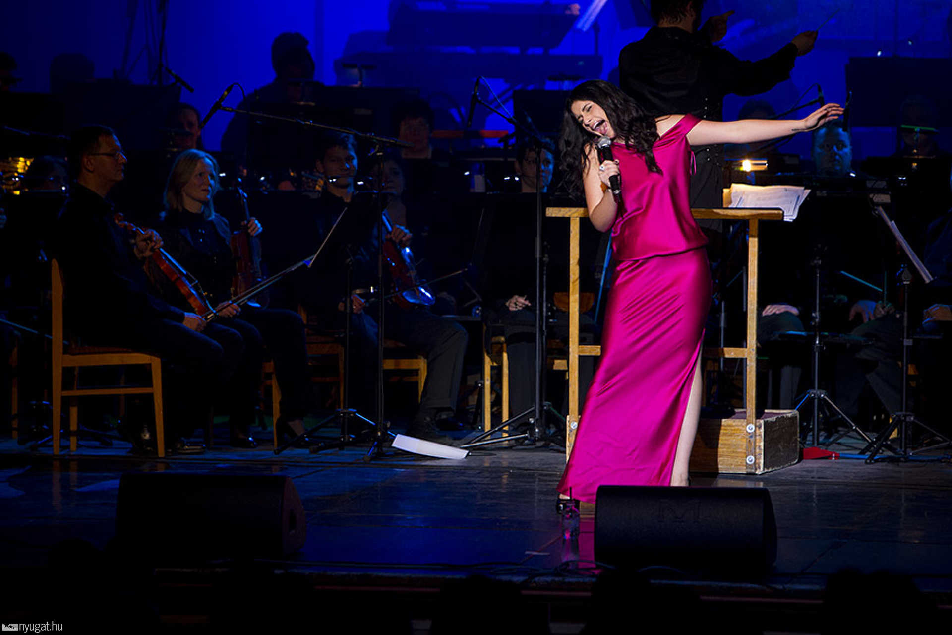 Radics Gigi koncert