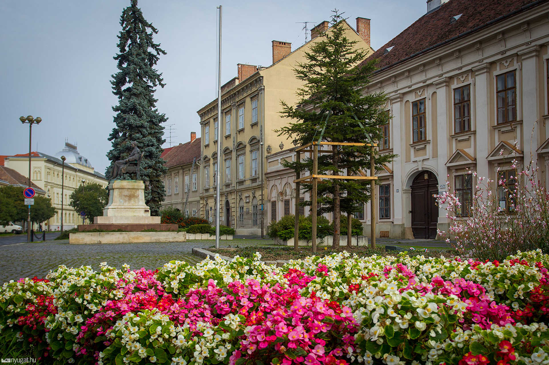 Tanítók fája