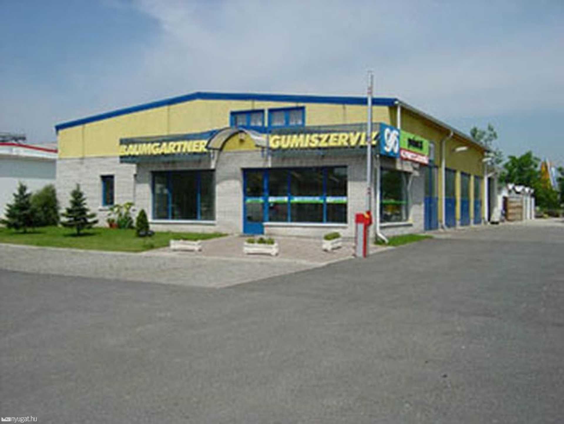 Baumgartner Gumiszerzív