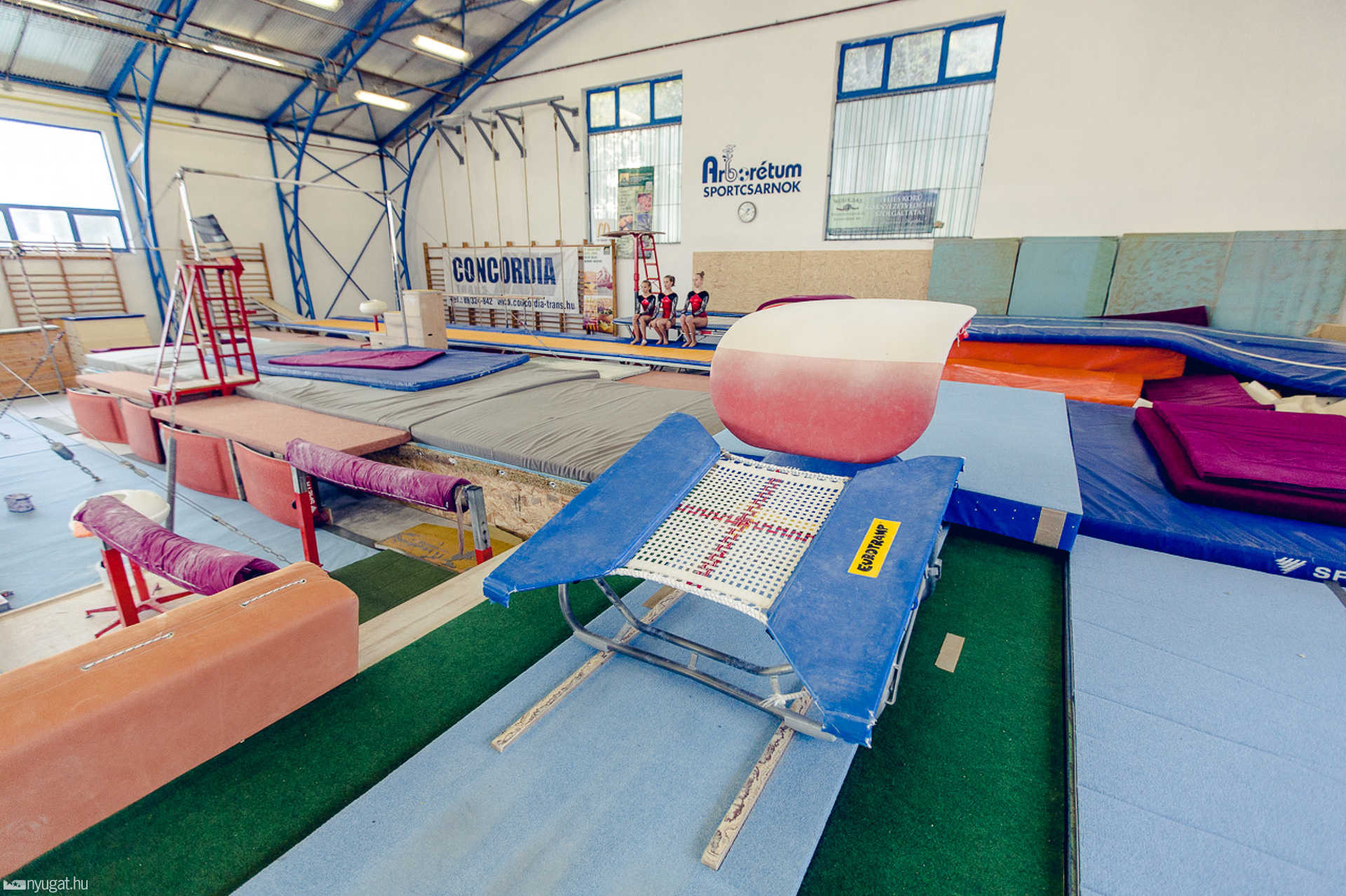Felavatták az átalakított Arborétum Sportcsarnokot