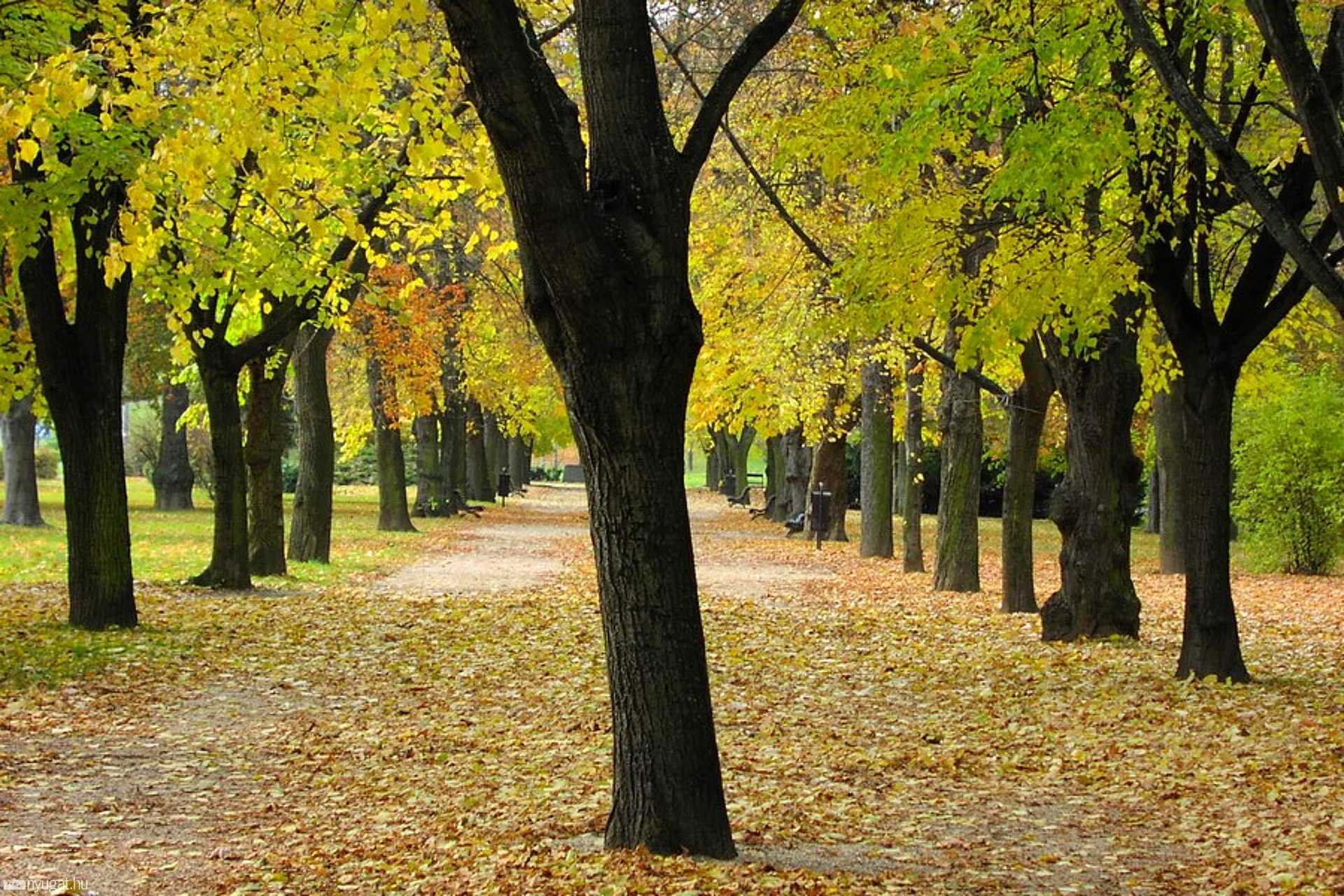az ősz legszebb pillanatai 2011