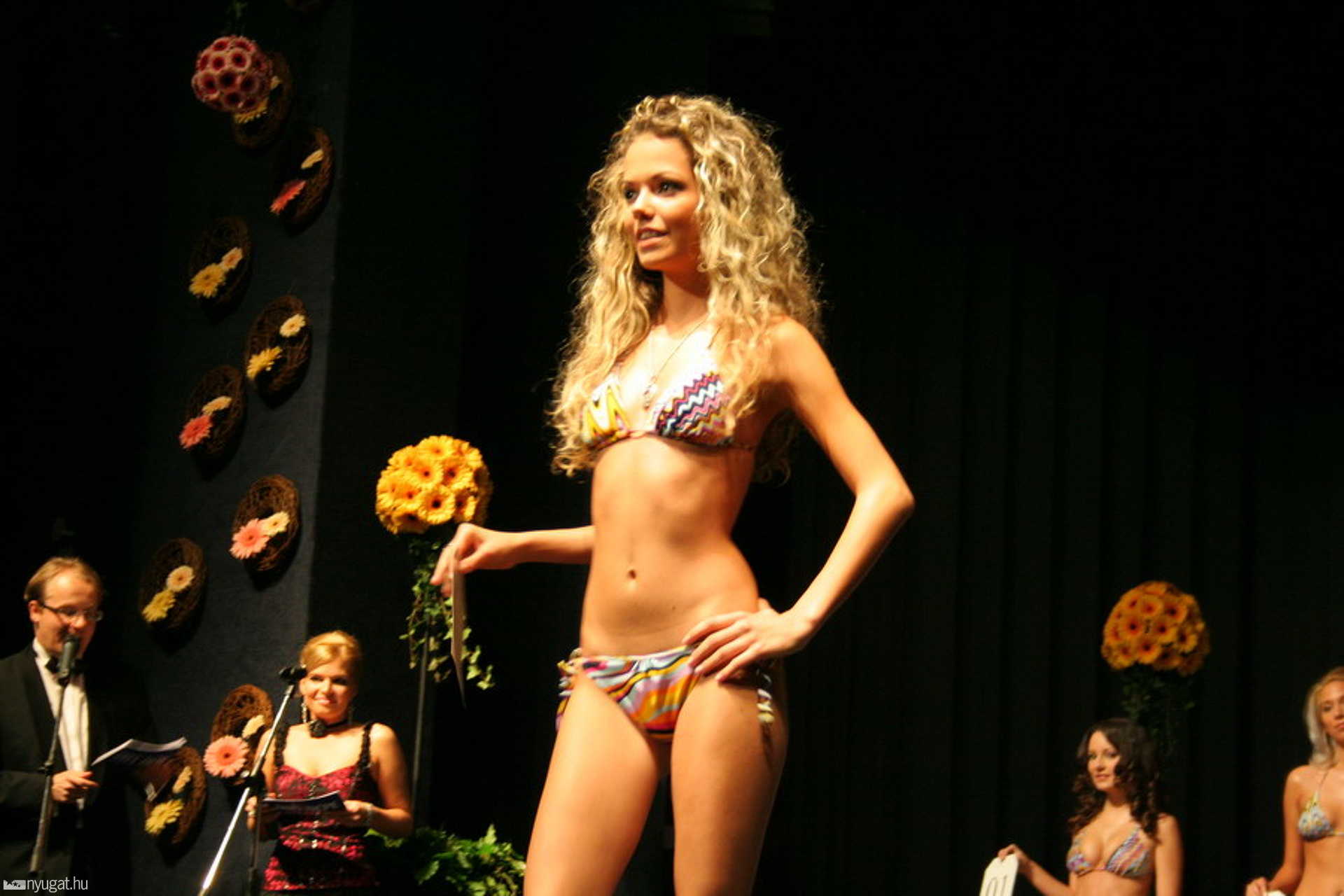 Vas megye szépe 2008