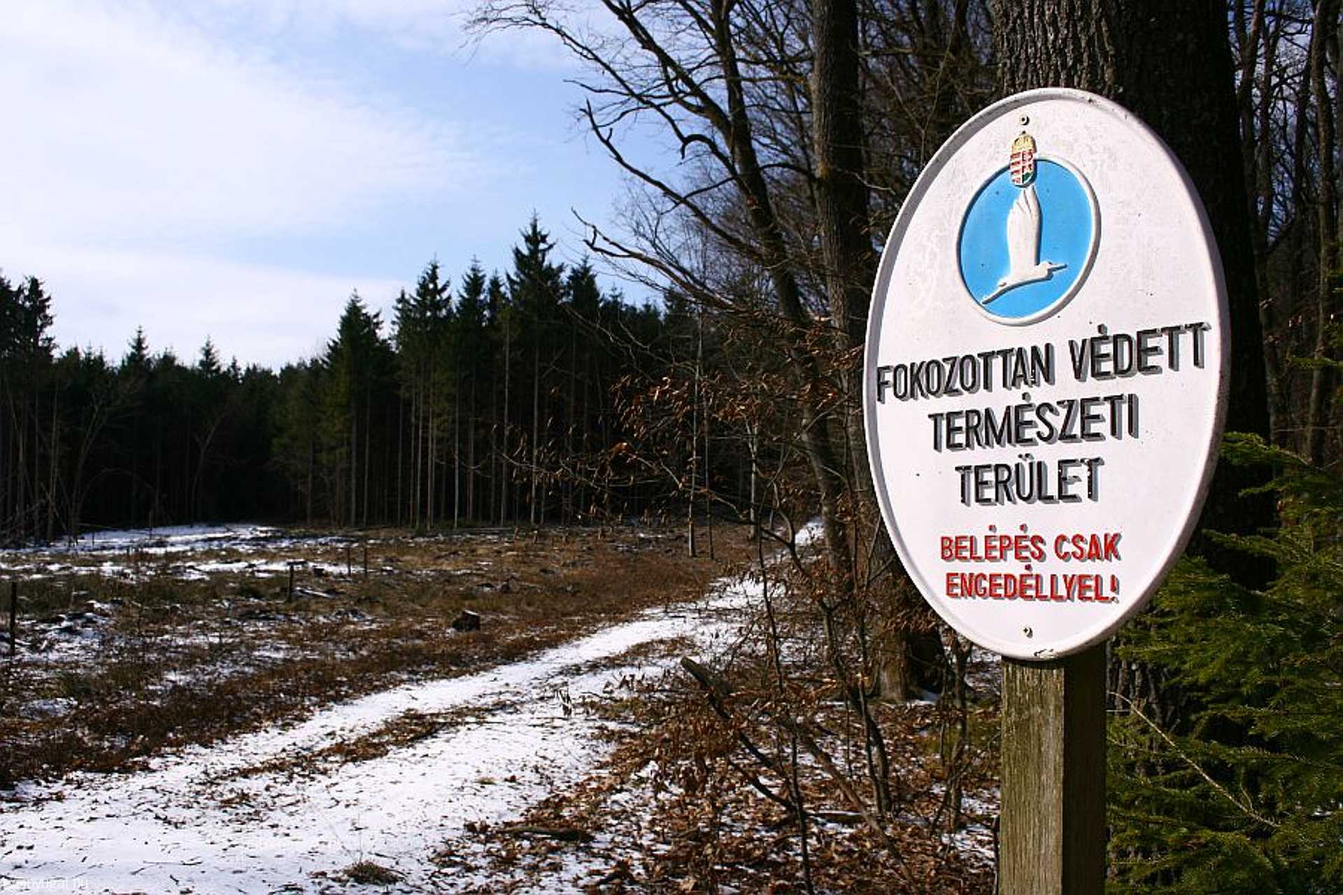Az Őrség télen