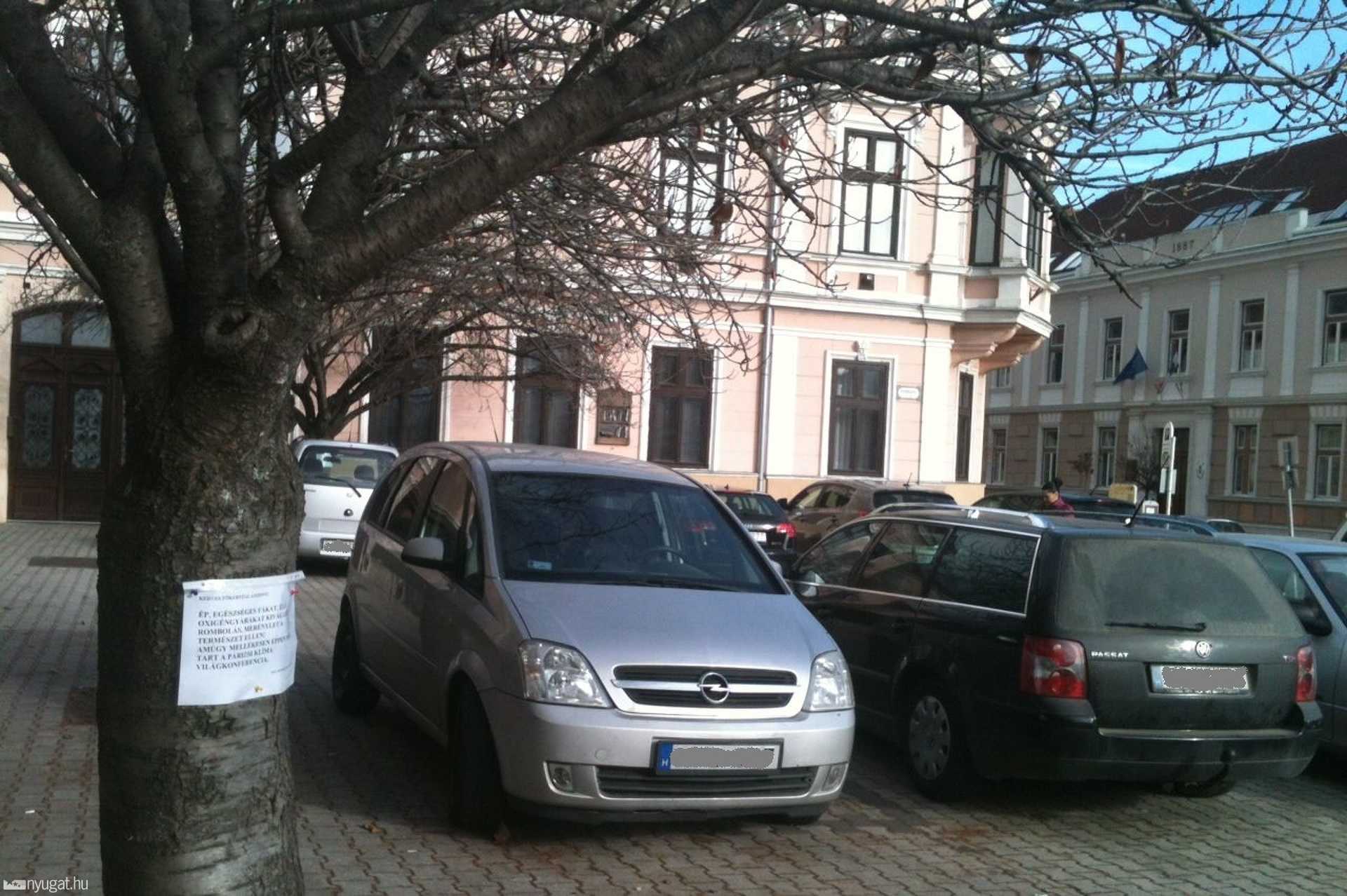 Fakivágás elleni tiltakozás