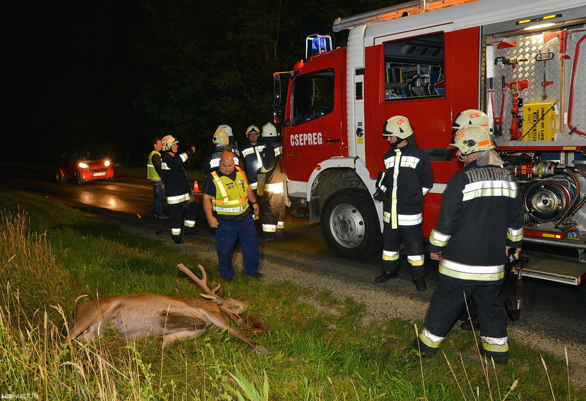 Szarvast gázolt egy kabrió  Tömörd közelében