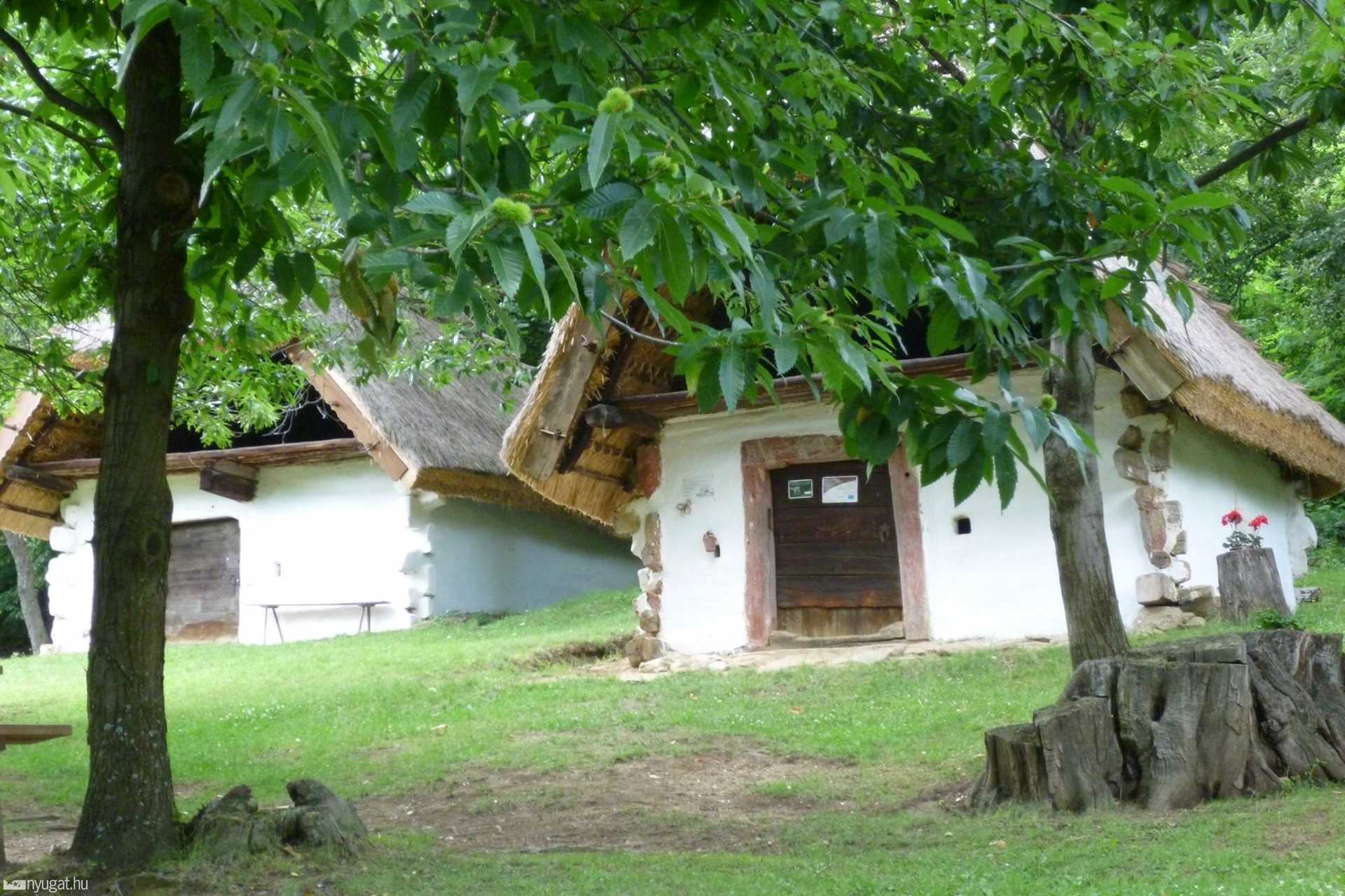 A cáki pincesor