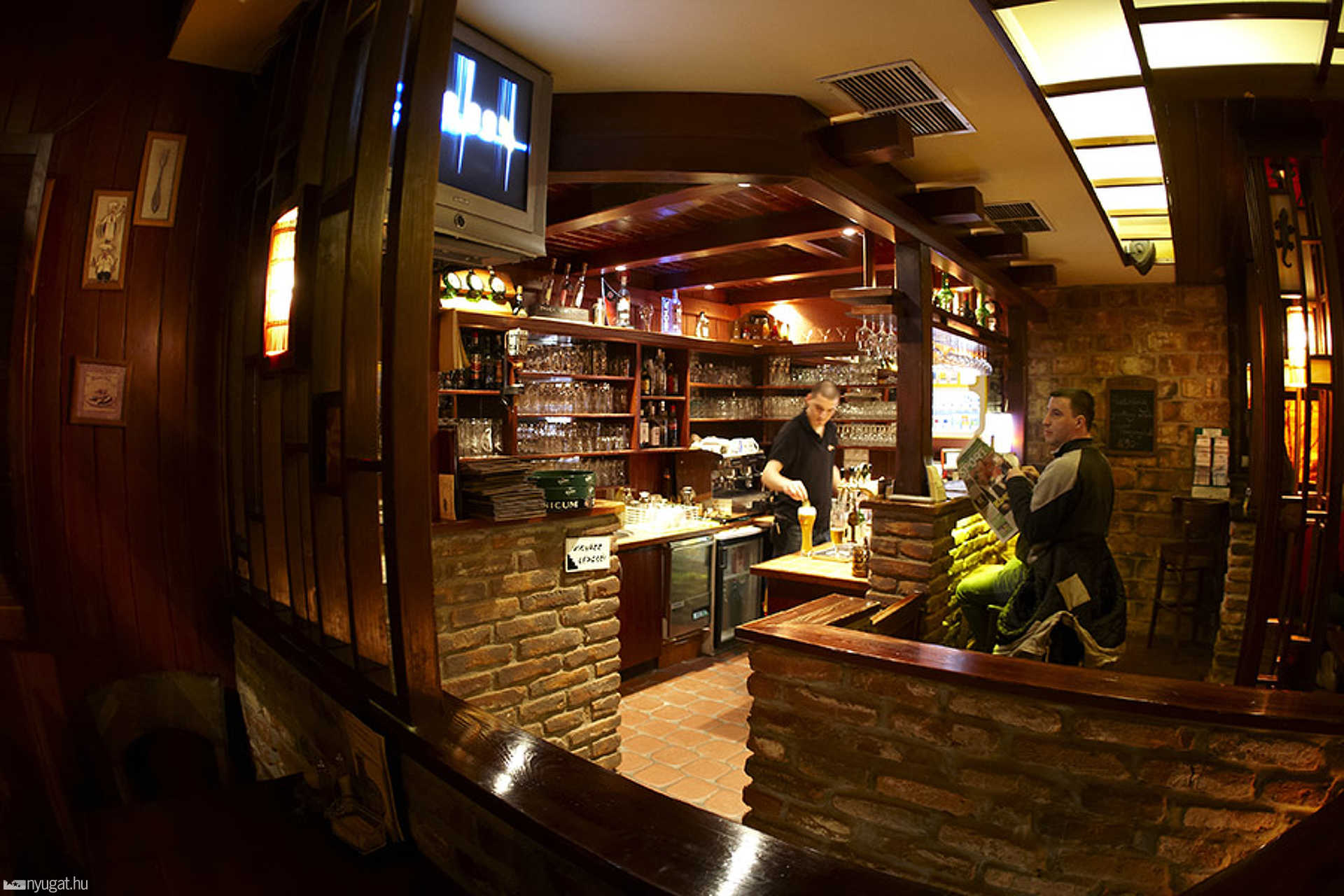 Gekko Pub