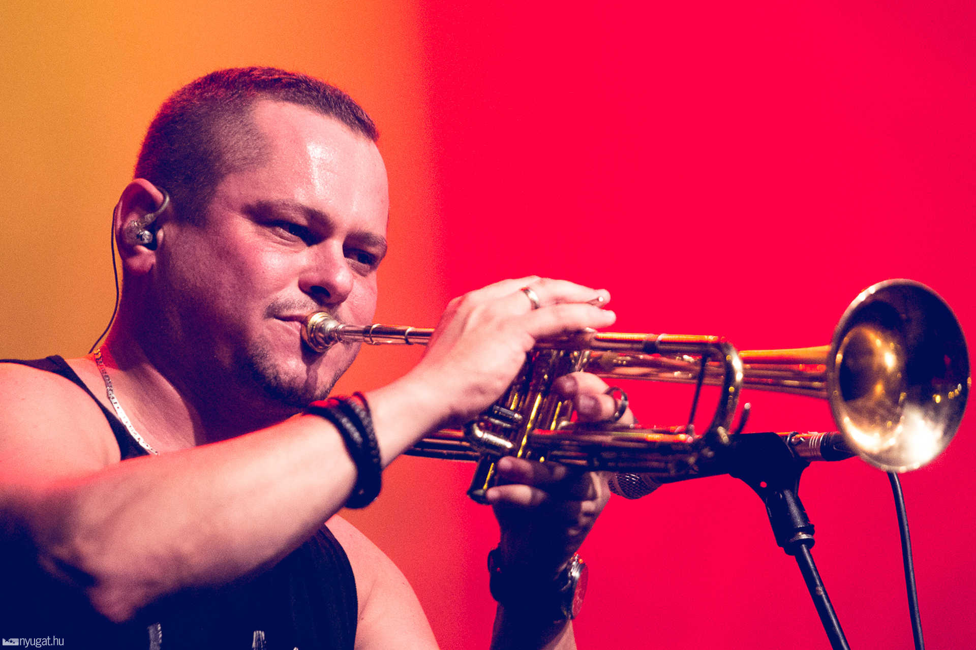 Ocho Macho-koncert a Fő téren