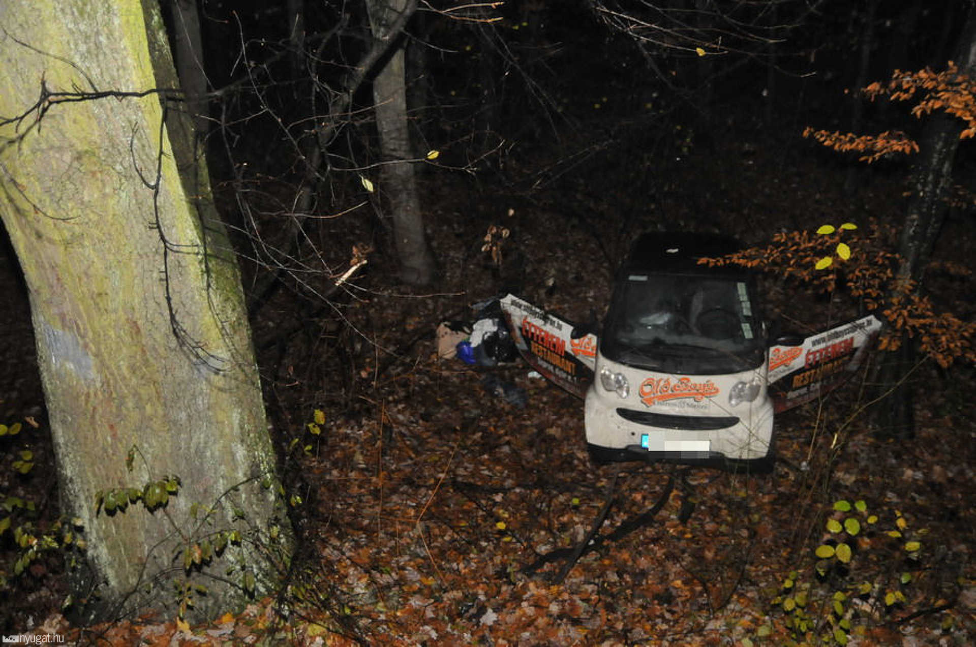Játékautónak látszik a mélybe zuhant Fortwo