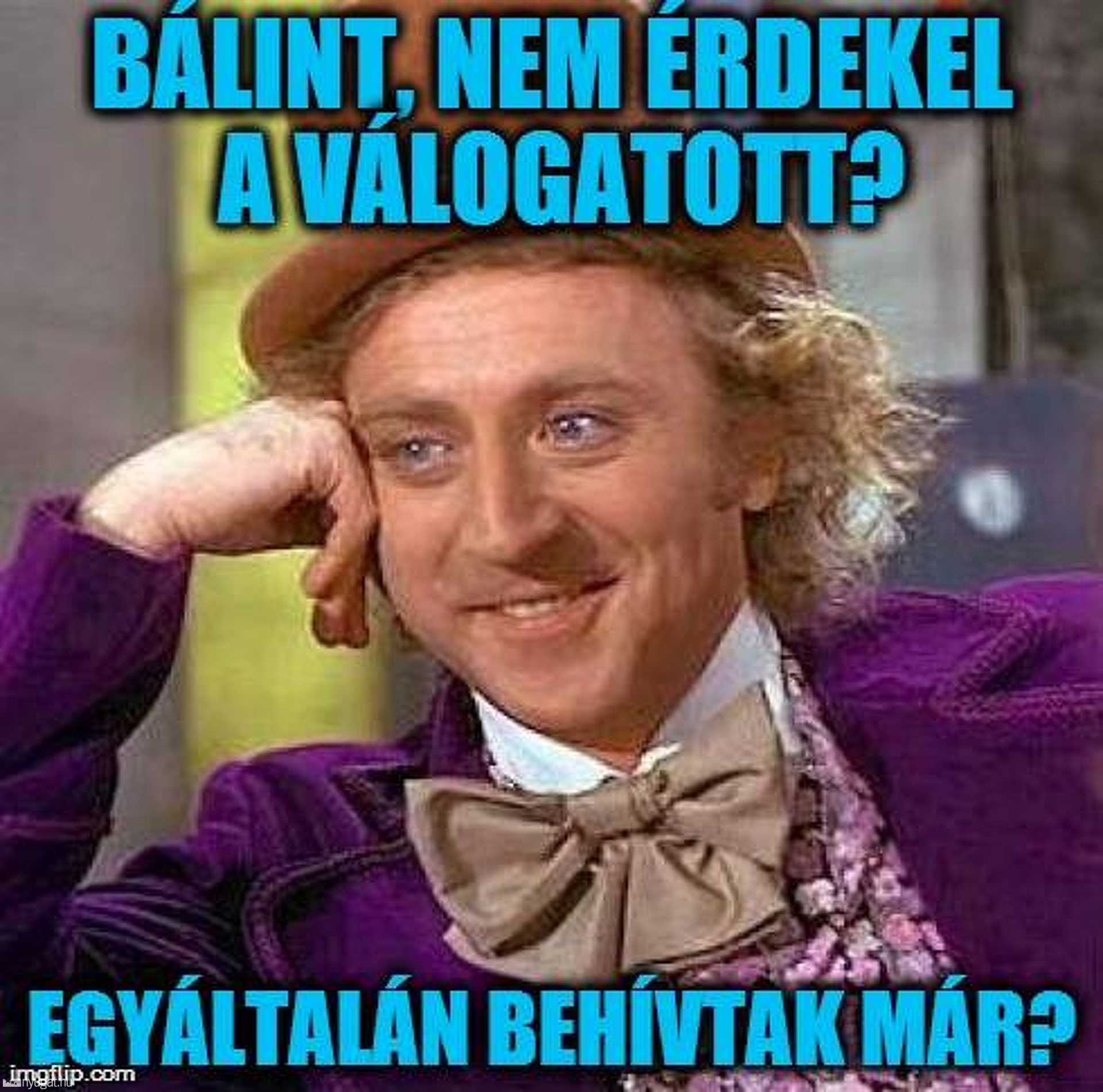 Bajner Bálint kiverte a biztosítékot
