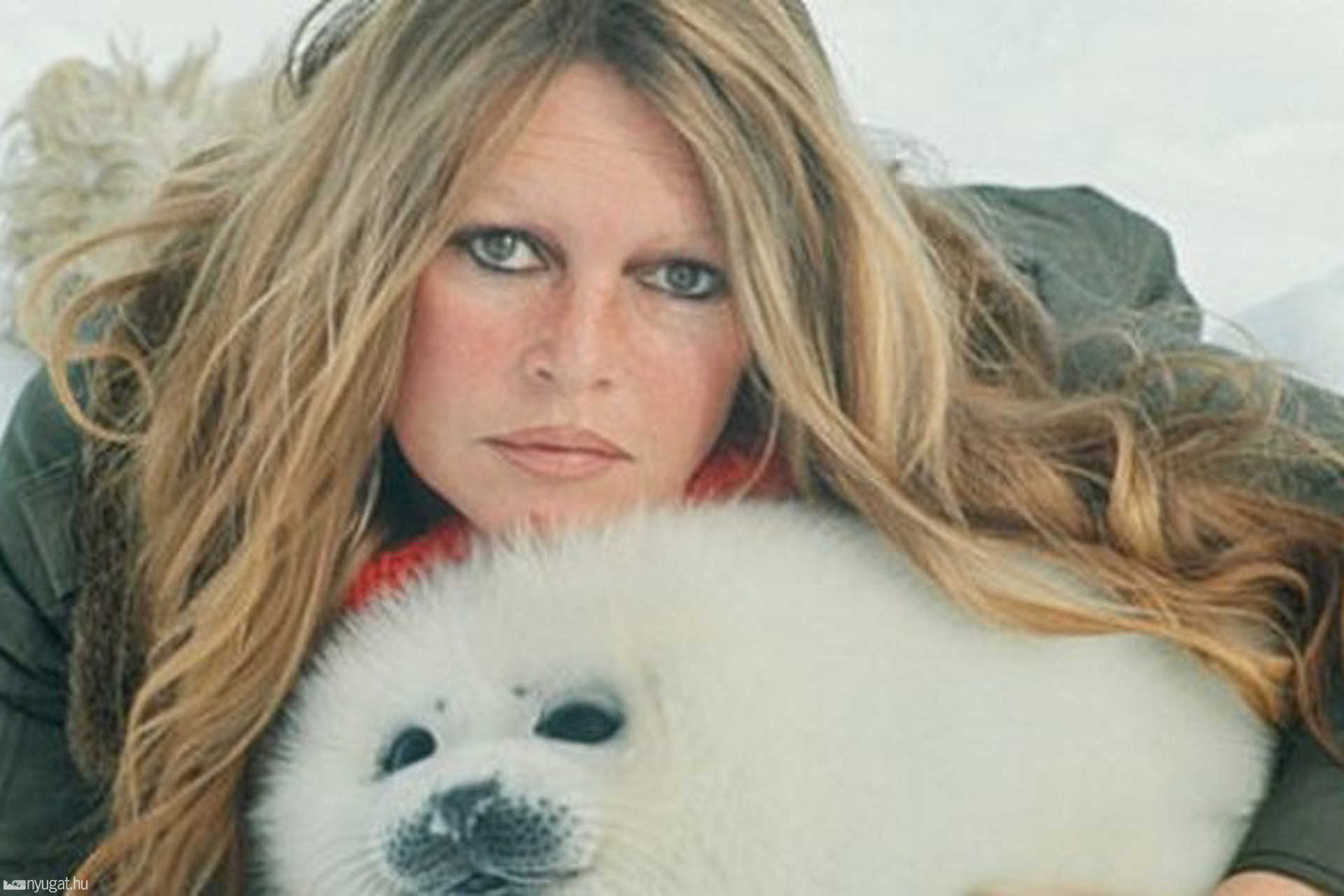 Az állatvédő Brigitte Bardot