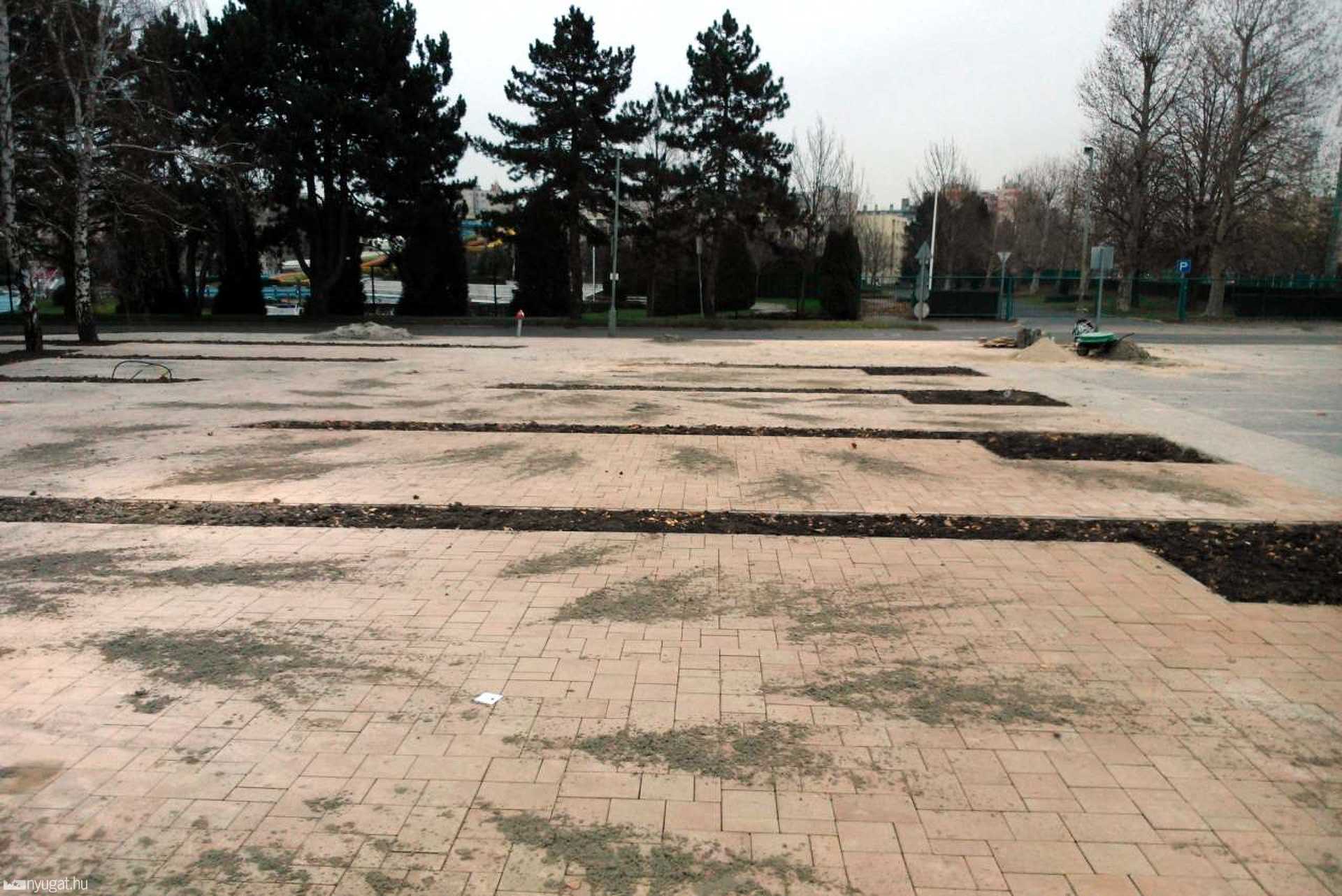 Csónakázótó