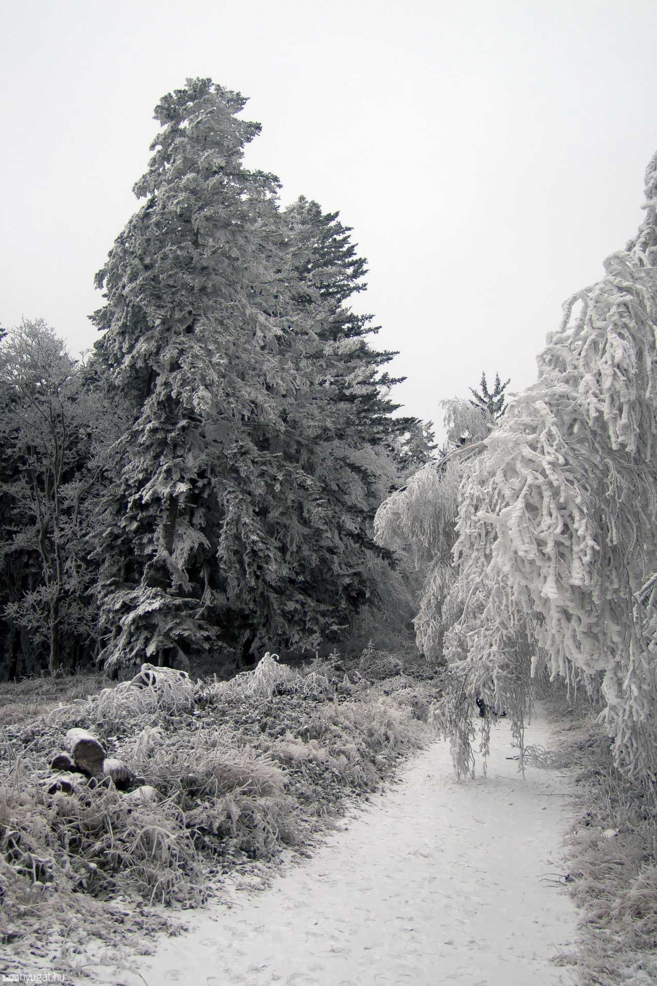 Írottkő télen