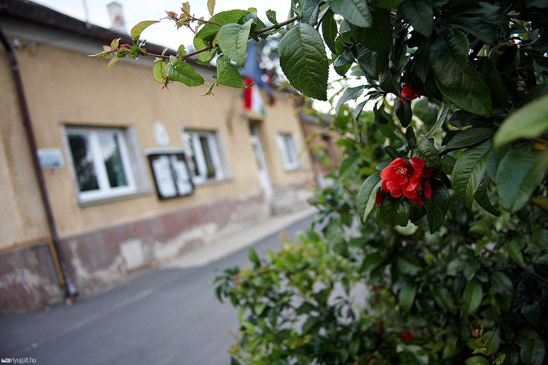 Bozsok