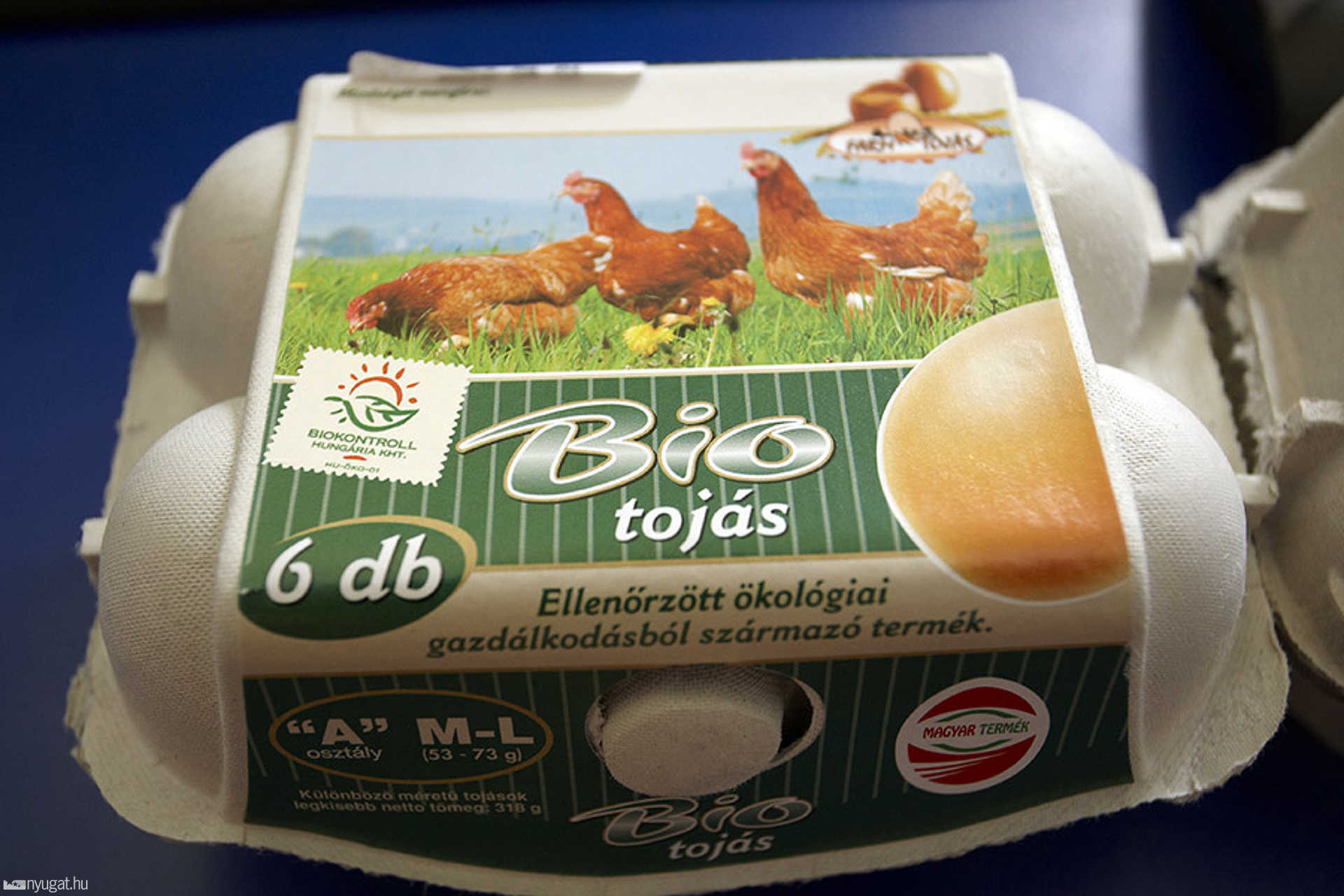 Bio tojás