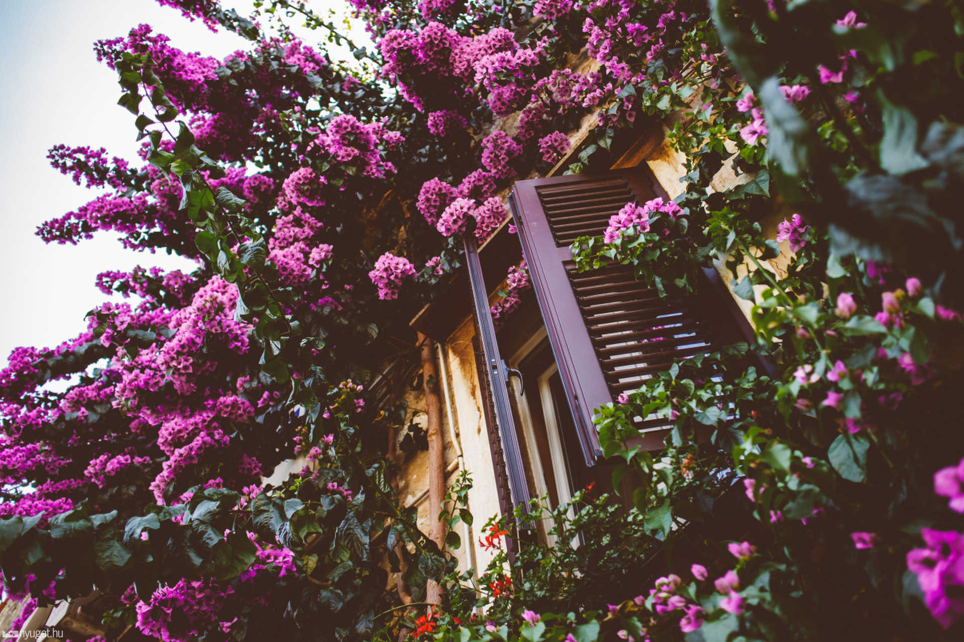 Rovinj - Horvátország