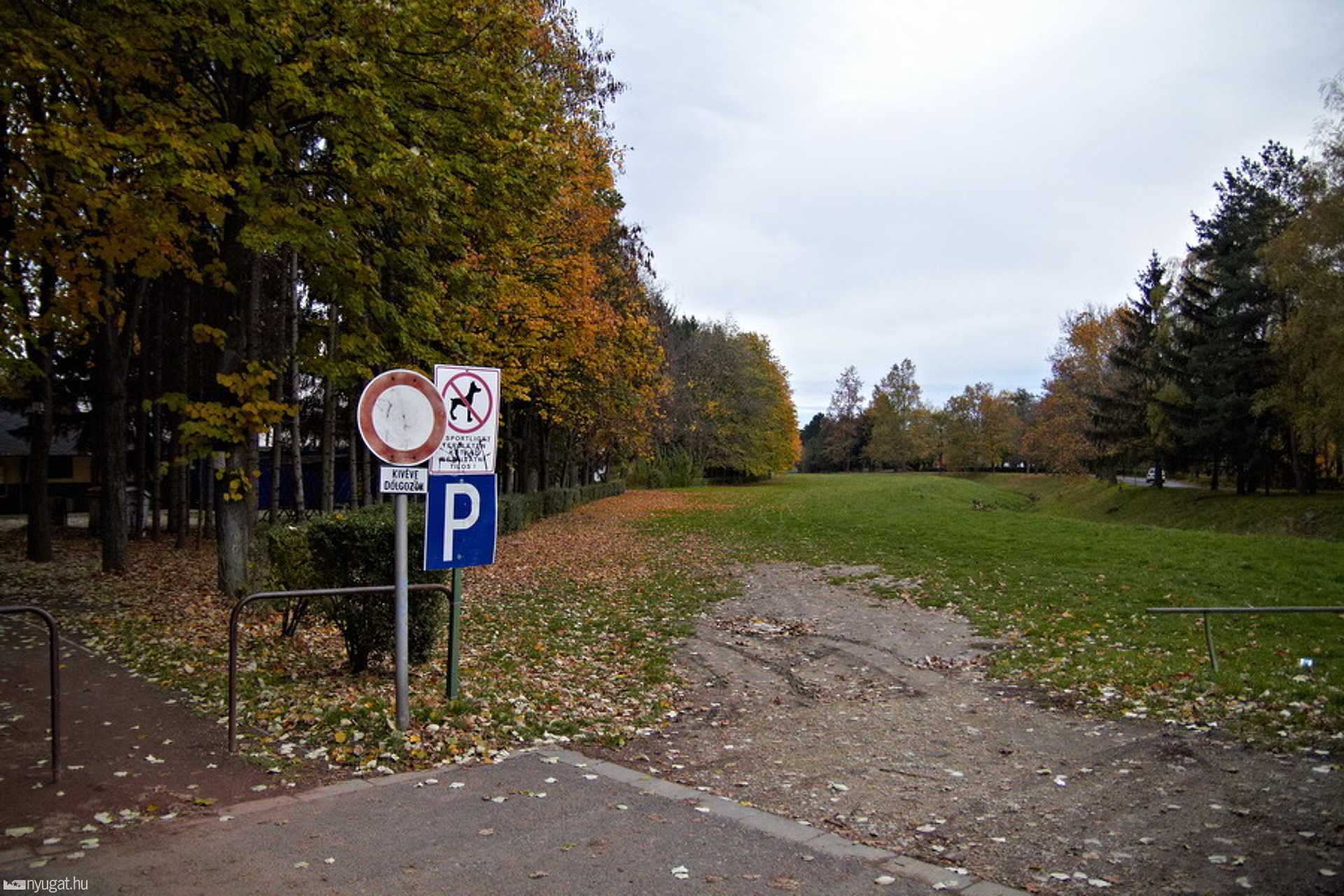 Sportliget