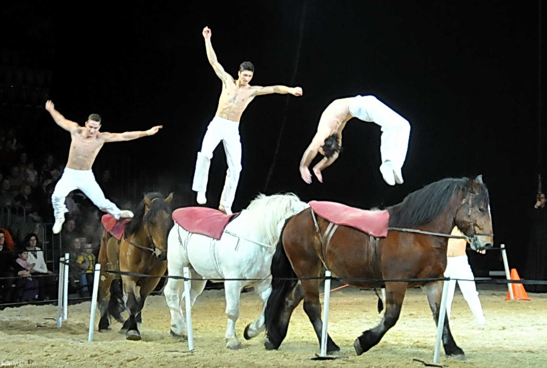 Horse Evolution Show Szombathelyen, az Arena Savariában