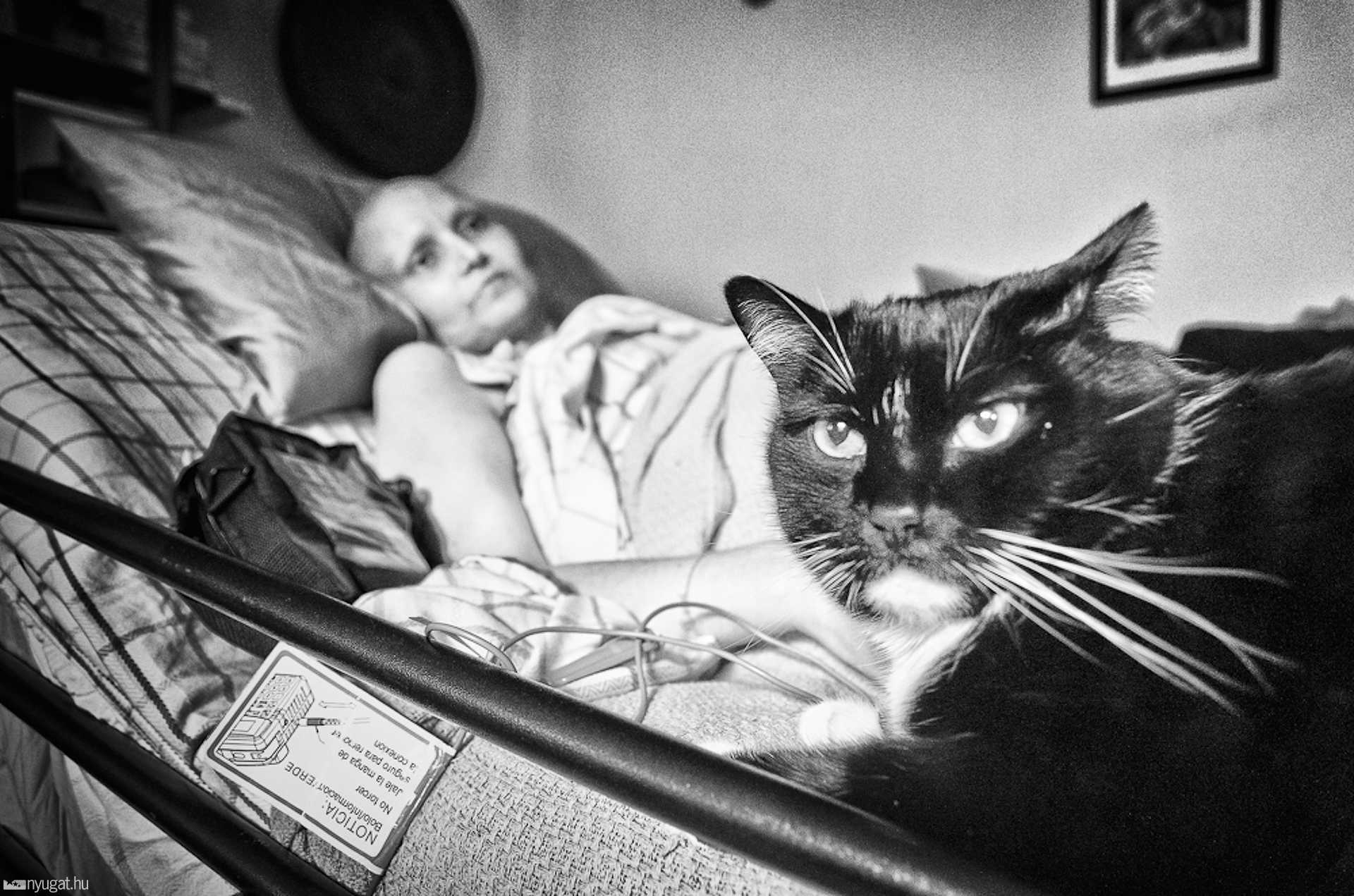 Jen harca a mellrákkal