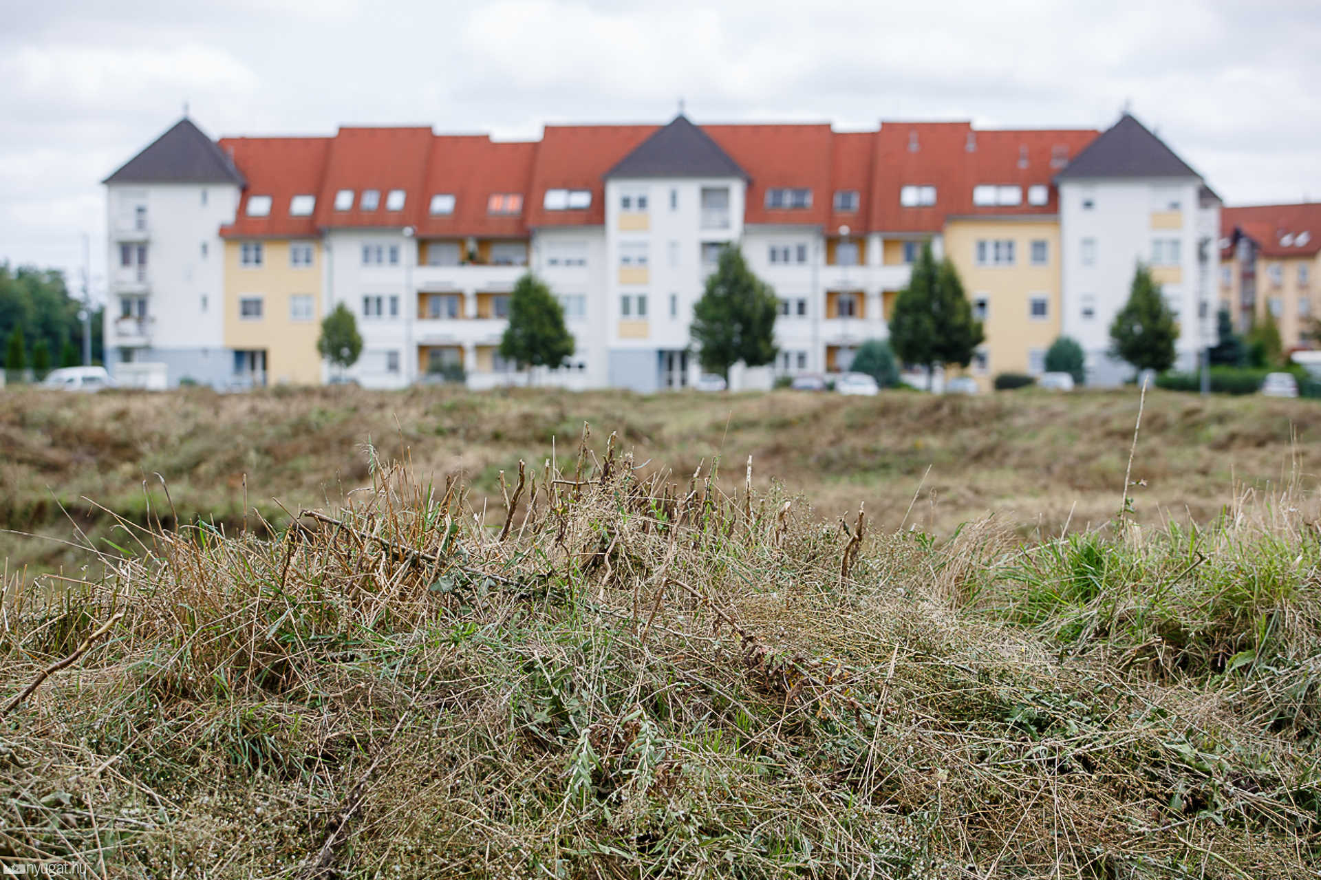 Kaszálás után az oladi terület