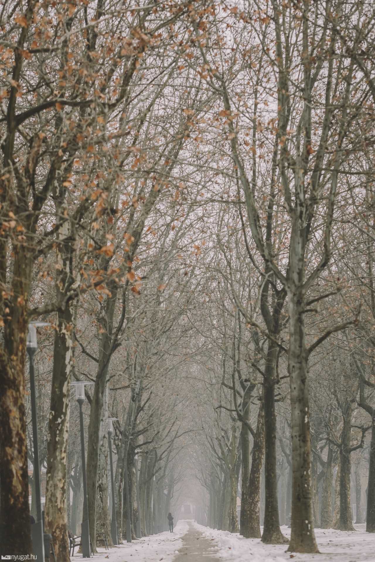 Balaton januárban