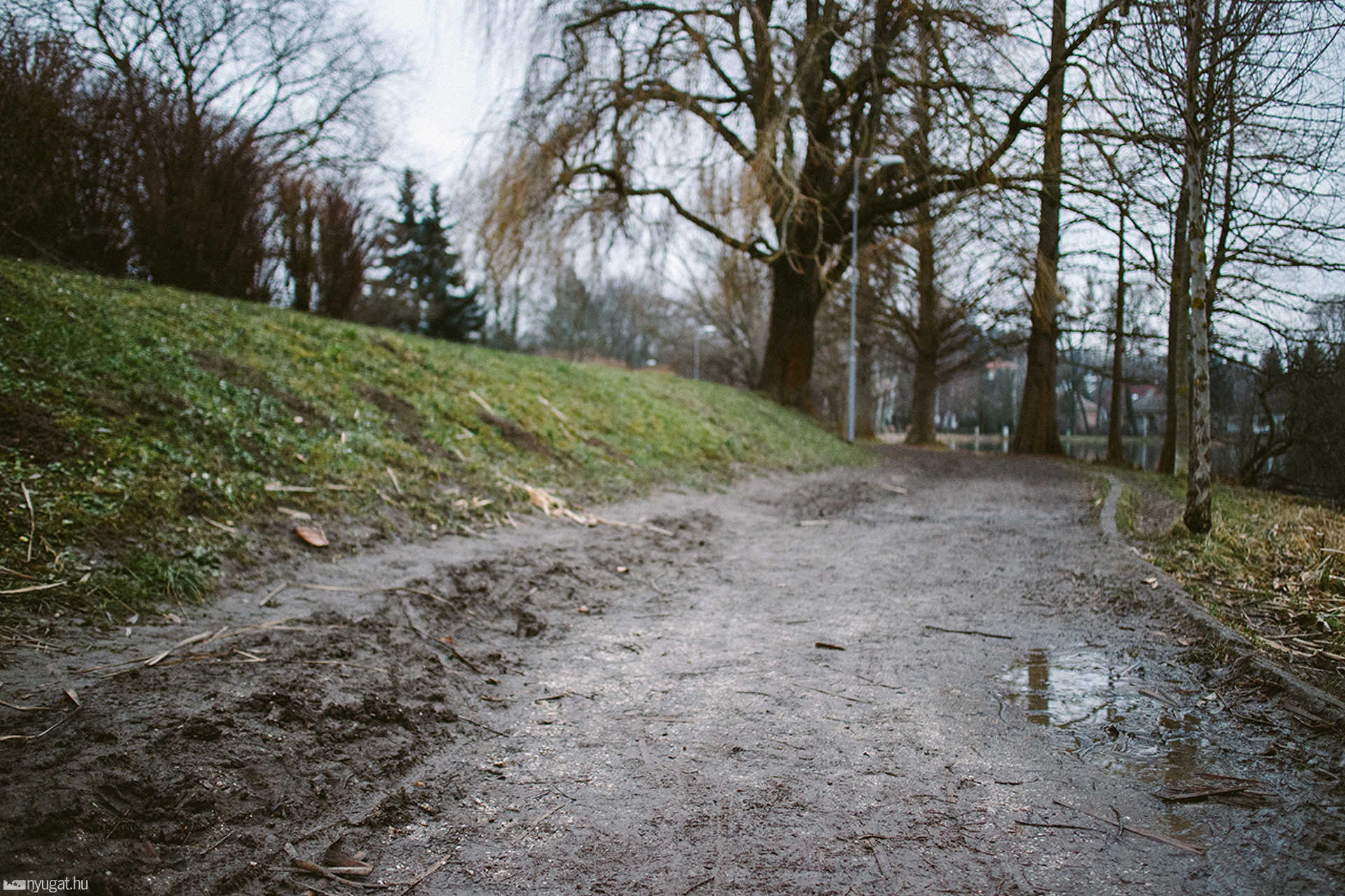 Csónakázótó sétány, 2015. január 22-én