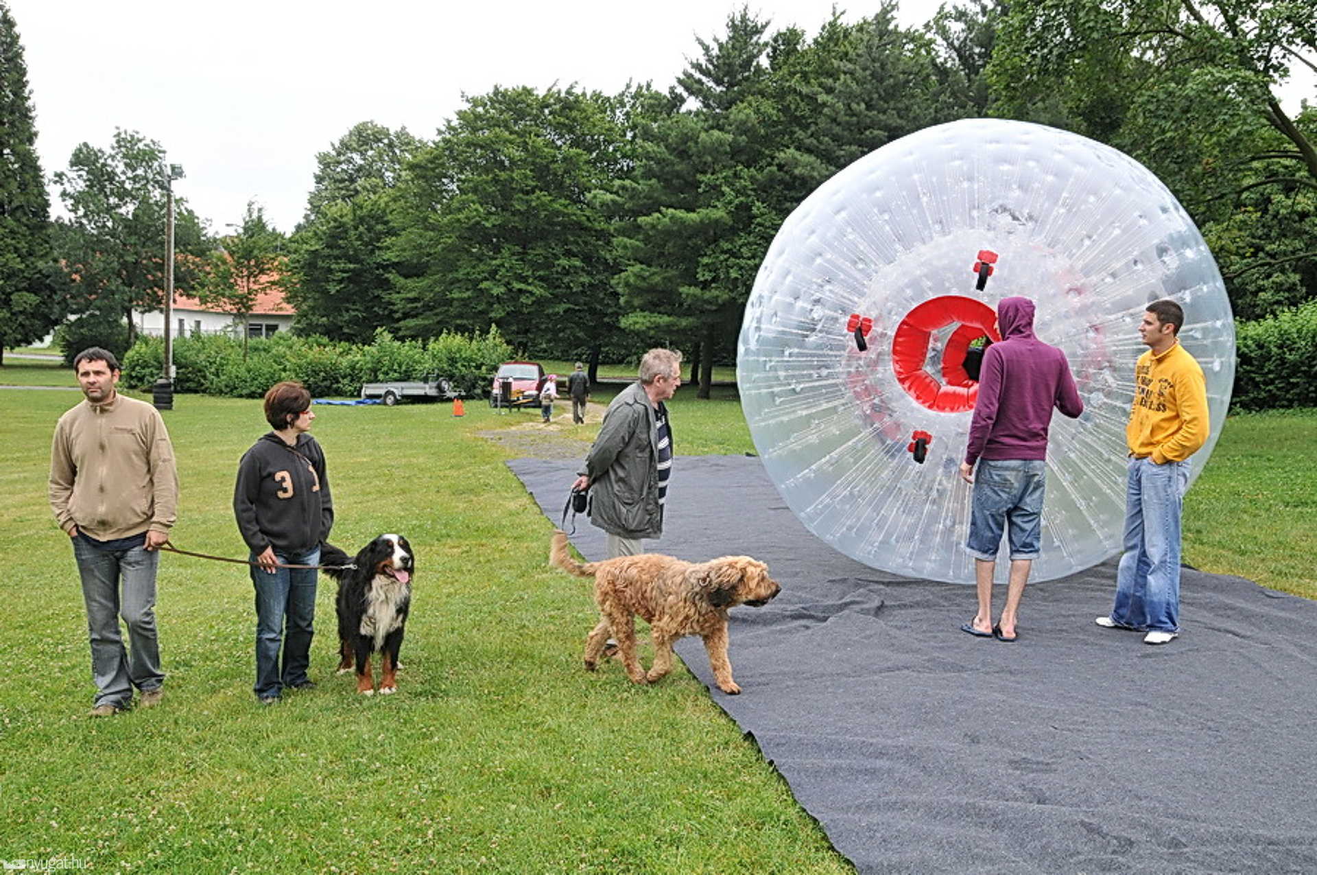 Jordán Tamás: Én inkább fizetek, csak ne kelljen beszállni!