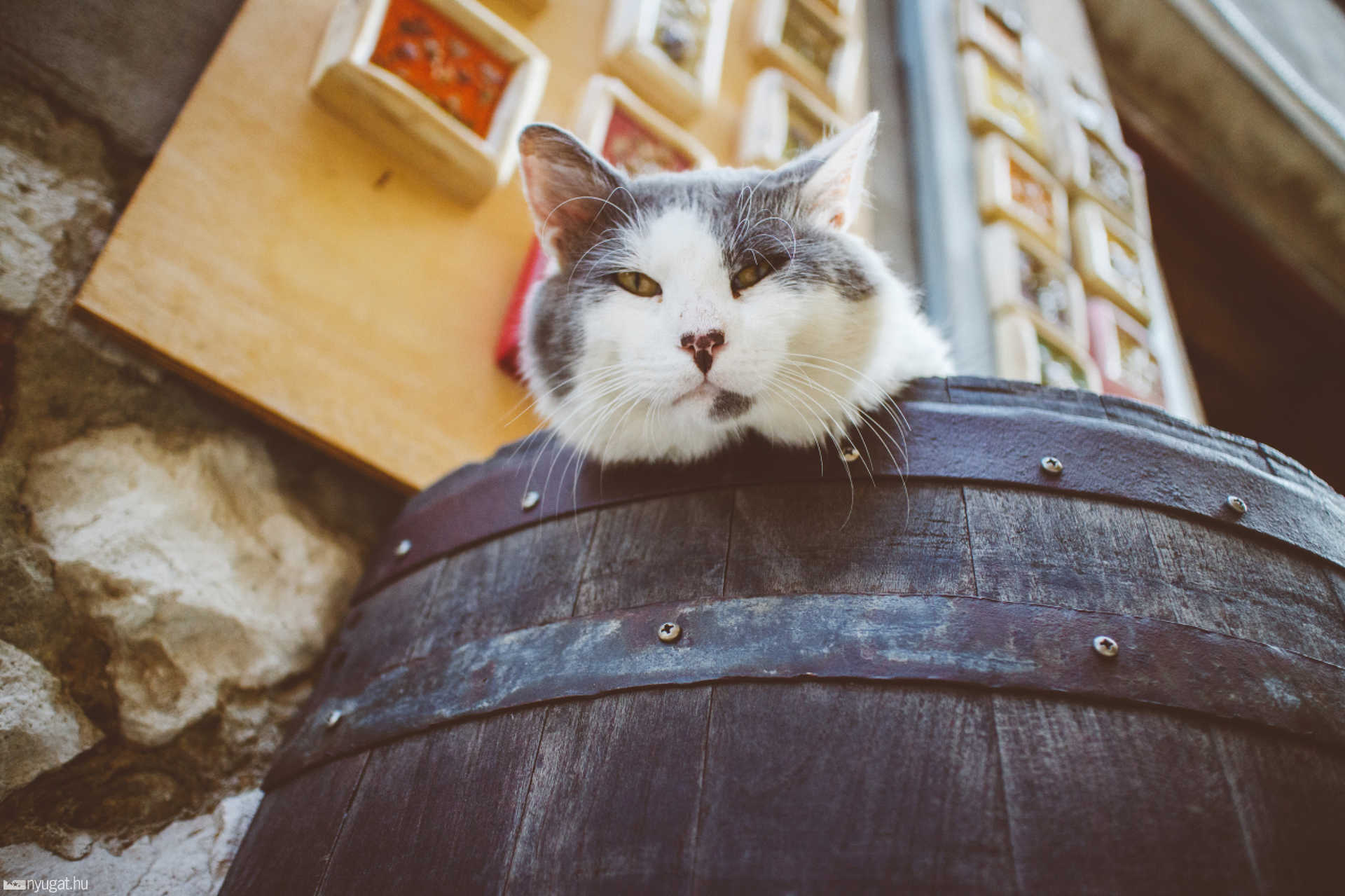 Rovinj - Horvátország