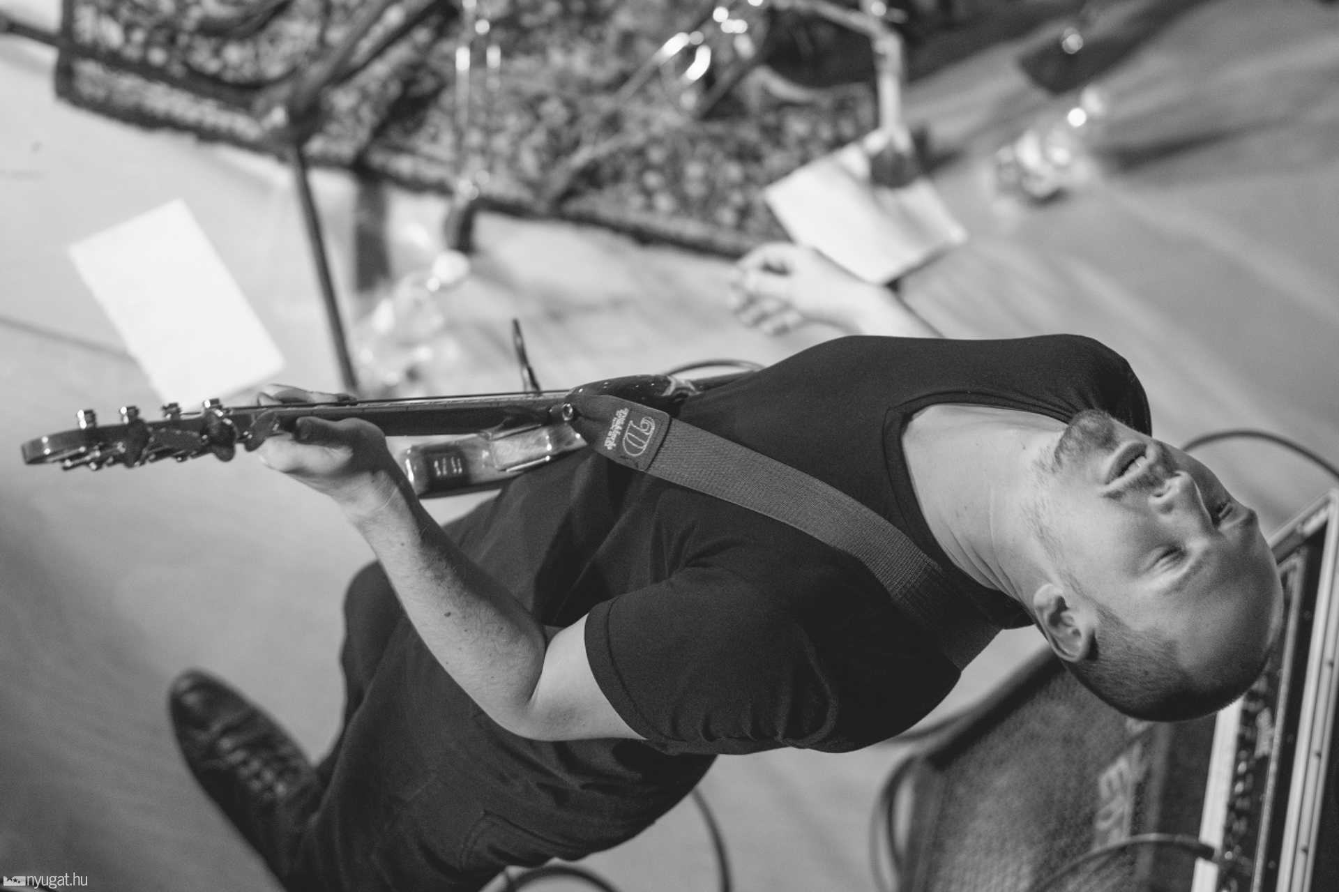 Elefánt koncert az MSH aulában