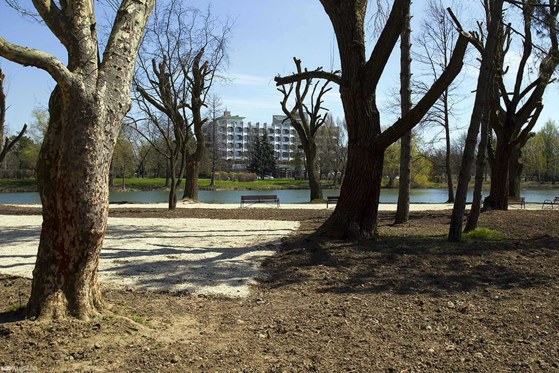 Polgármesteri sziget szemle